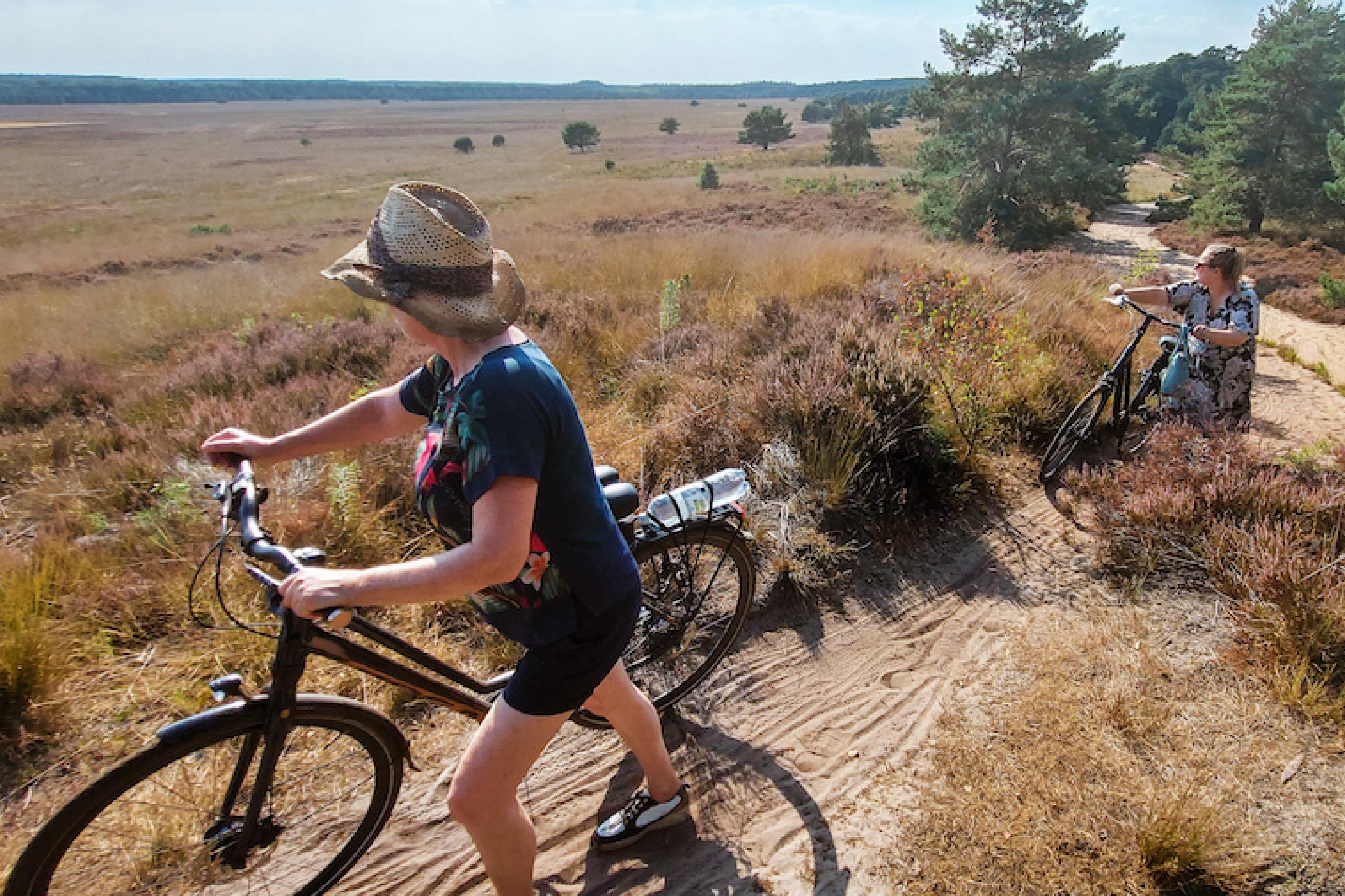 Zwei Radfahrerinnen touren durch die trockene Landschaft des niederländischen Naturschutzparks Velouwe.