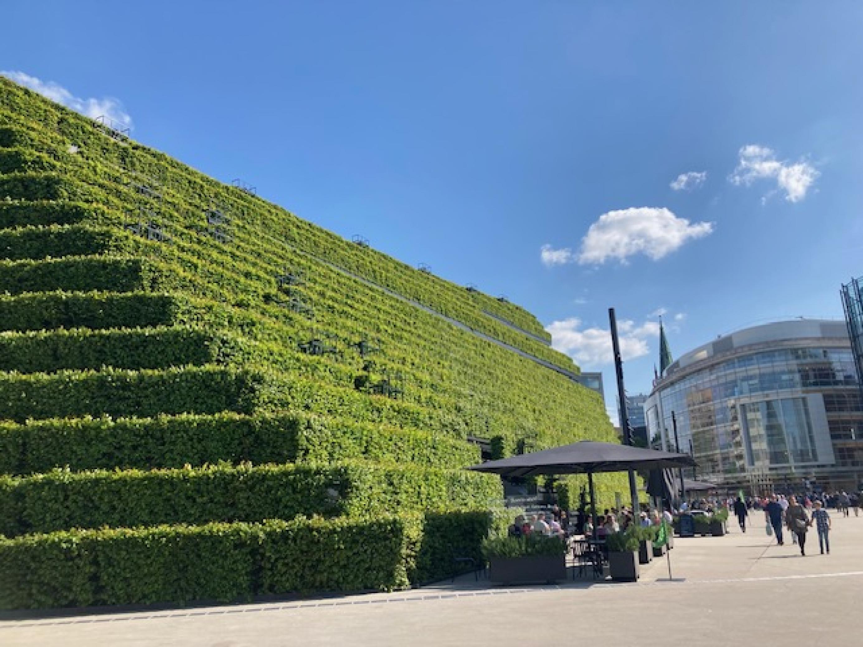 Fassadenbegrünung in der Stadt. Der Neubau eines Geschäftshauses ist vollständig grün, von einer Hainbuchenhecke.