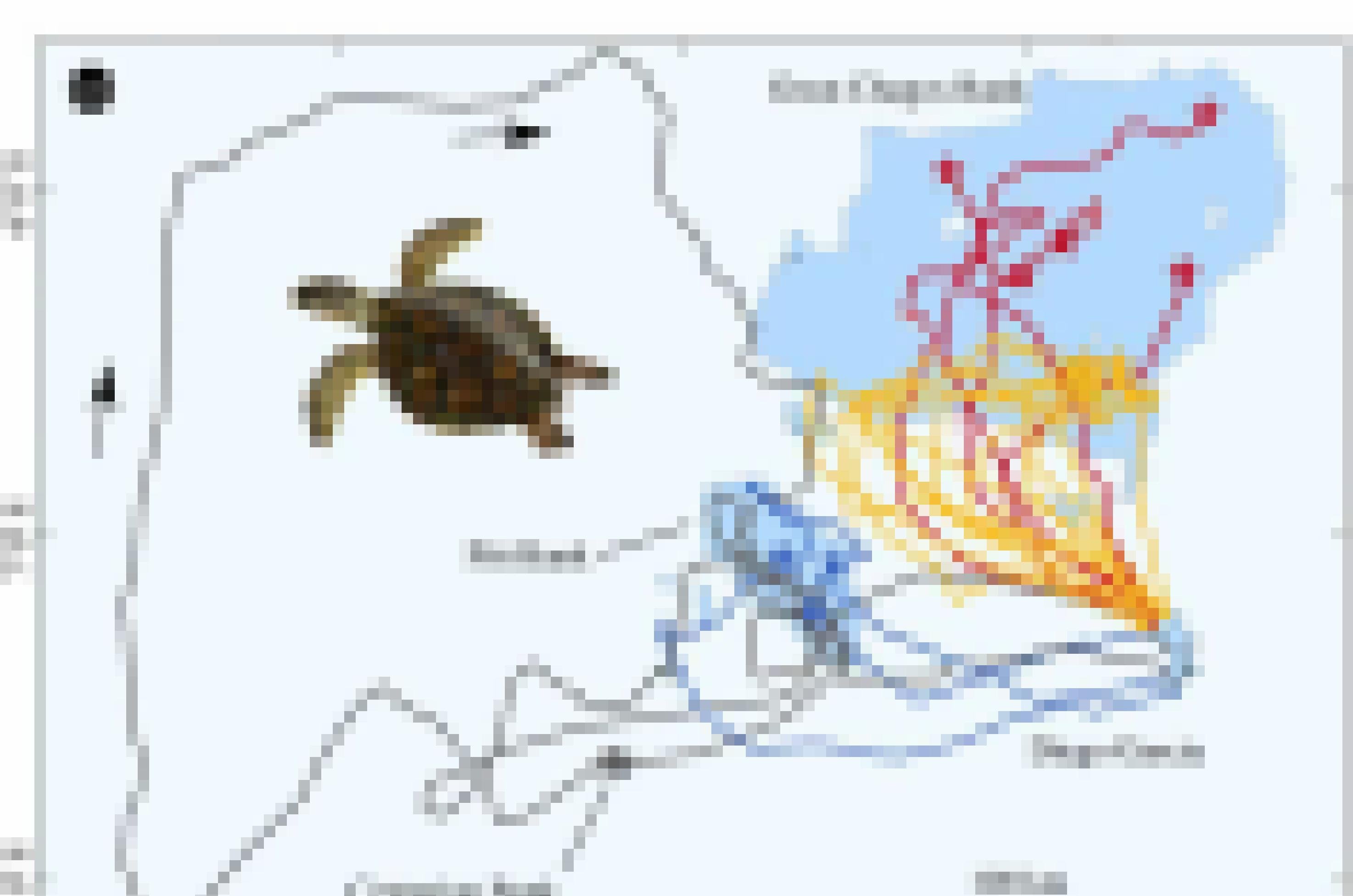 Grafik der Migrationen einzelner Echter Karettschildkröten. Auf dem Weg zu ihren Weidegründen unter Wasser machen die Tiere teils weite Umwege.