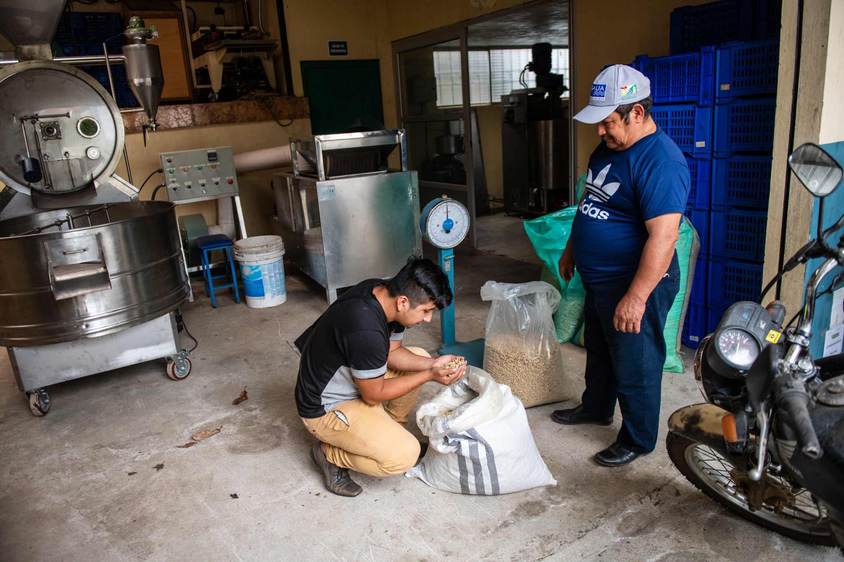 Mitarbeiter der Kooperative APEOSAE überprüft den Inhalt einen Sackes, den Bauer Guerreiro angeliefert hat, Panguintza/Ecuador.