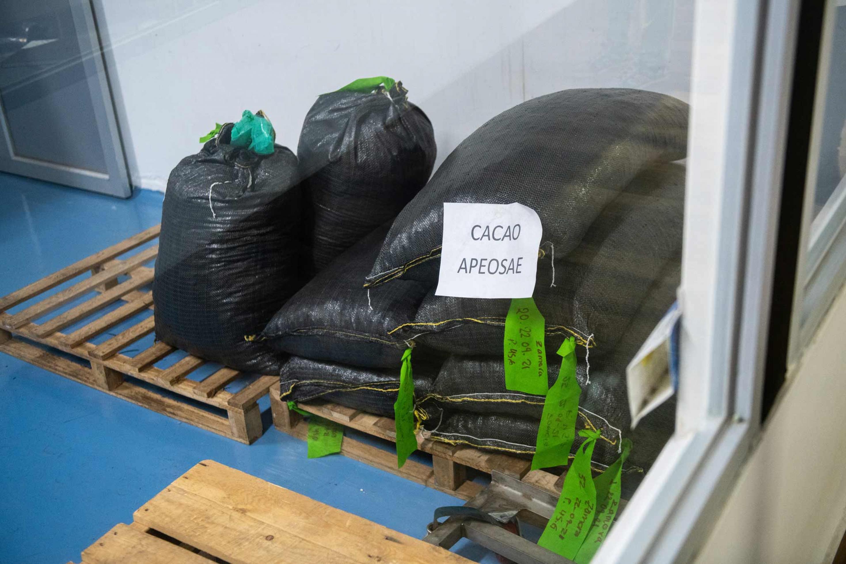 Säcke mit der Aufschrift „Cacao APEOSAE“ lagern in der Schokoladenfabrik Hoja Verda, Quito/Ecuador