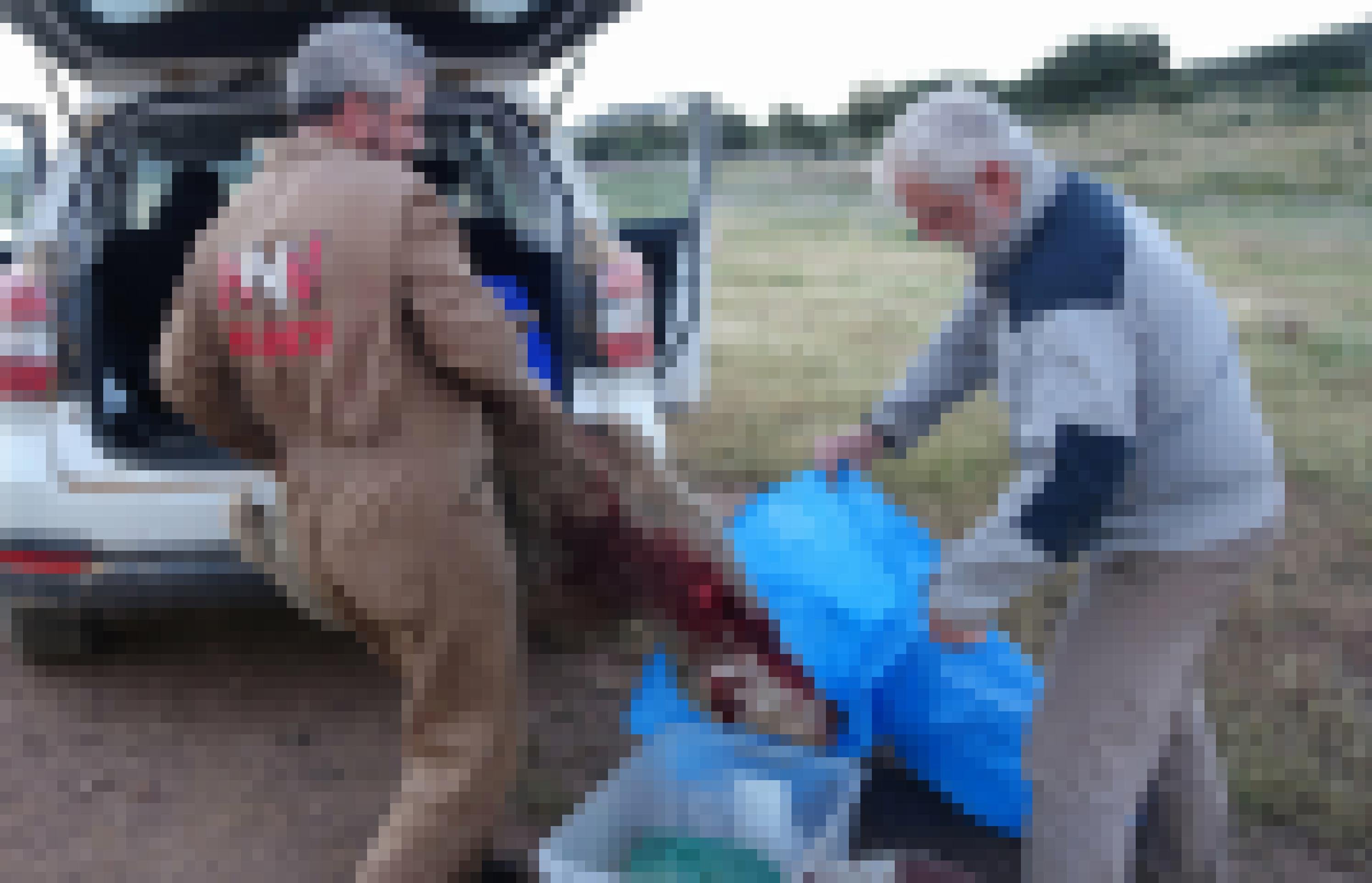 Zwei Männer laden ein totes Schaf für Geier aus einem Auto in eine Plastikwanne.