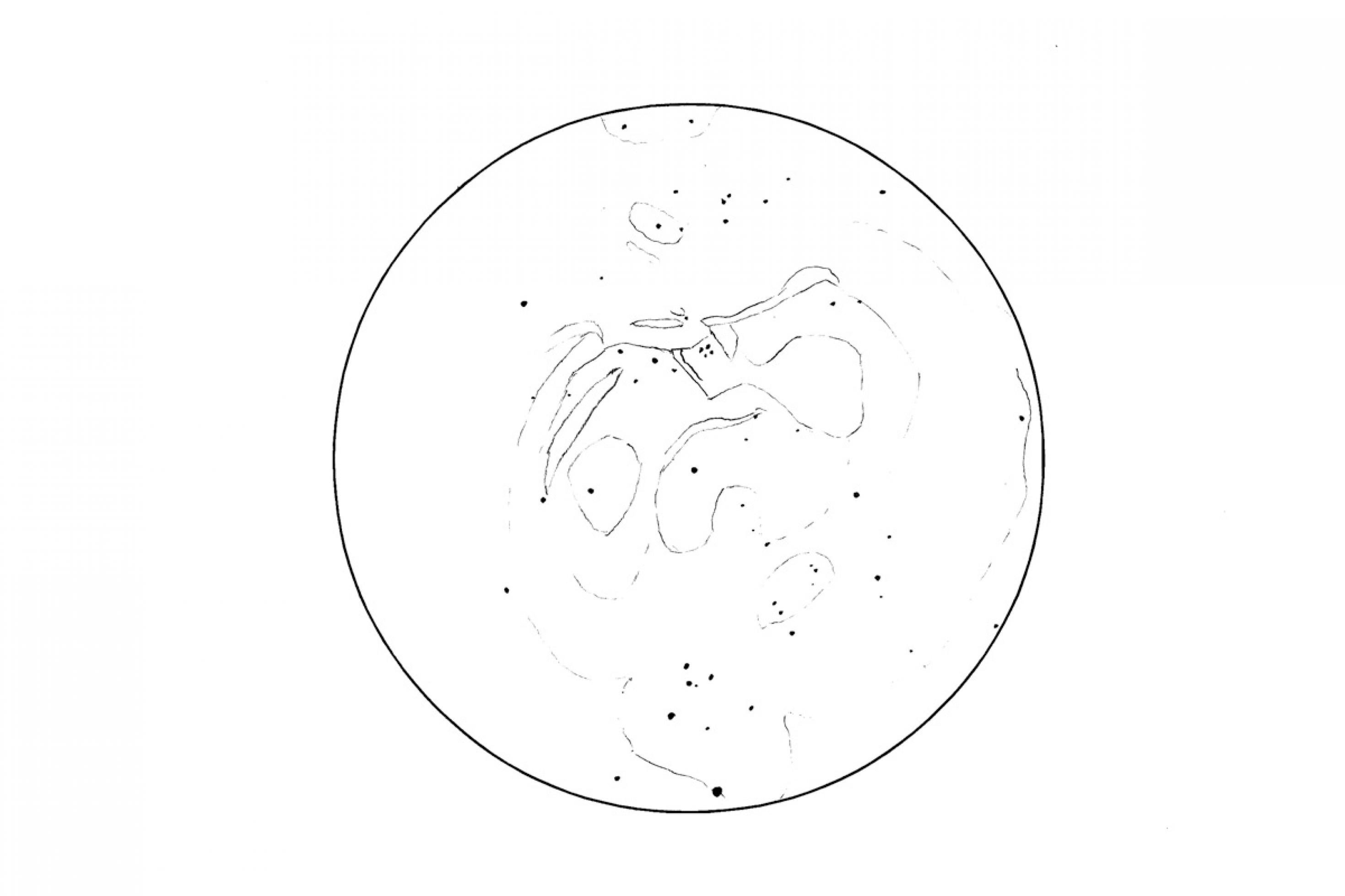 Schritt 2: Bei Nebeln oder Galaxien zeichnet man nun die Umrisse des Himmelsobjekts, und macht kenntlich, ob Übergänge eher diffus oder scharf verlaufen.