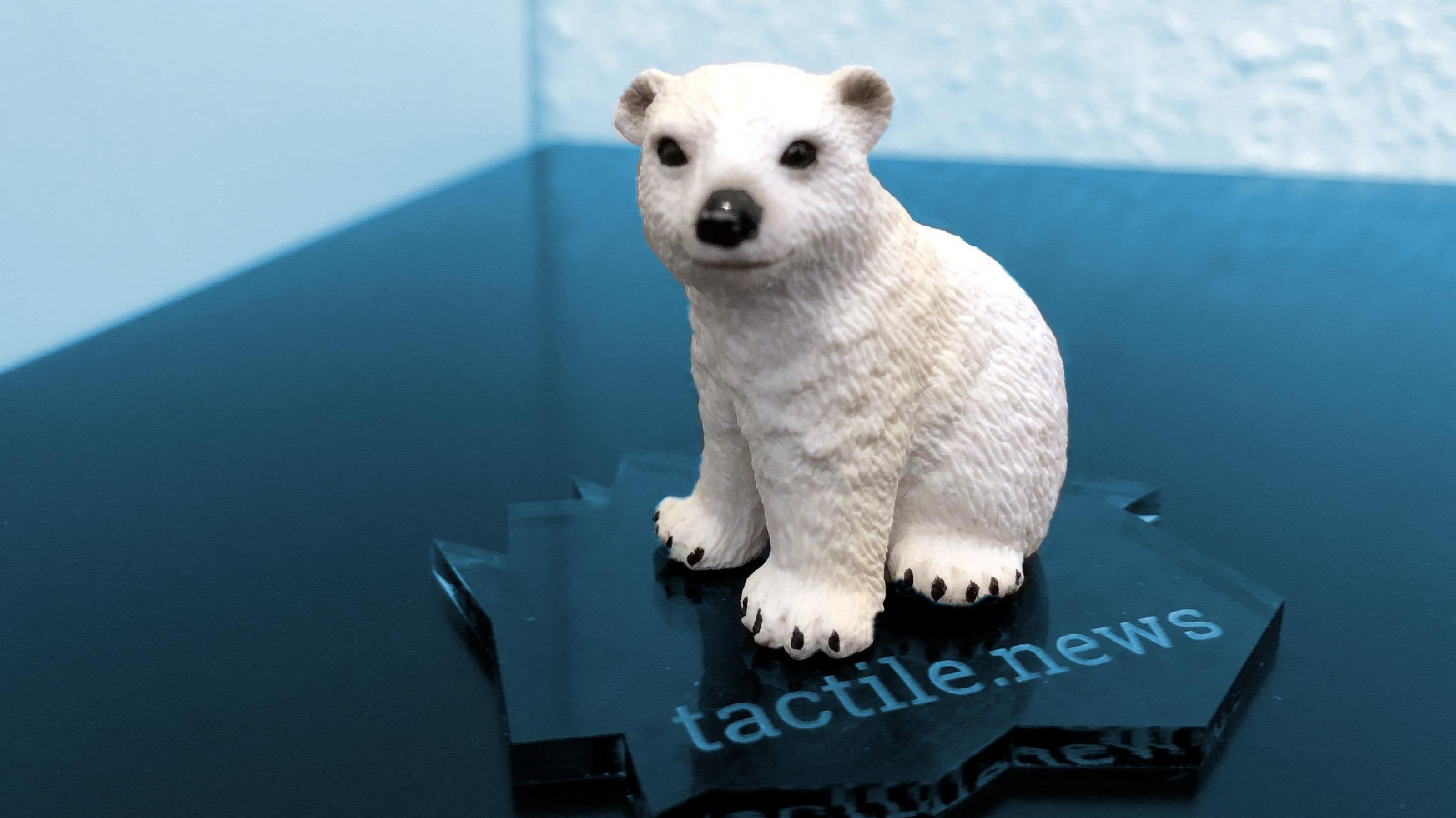 Eisbär vernetztes Spielzeug über Klimawandel