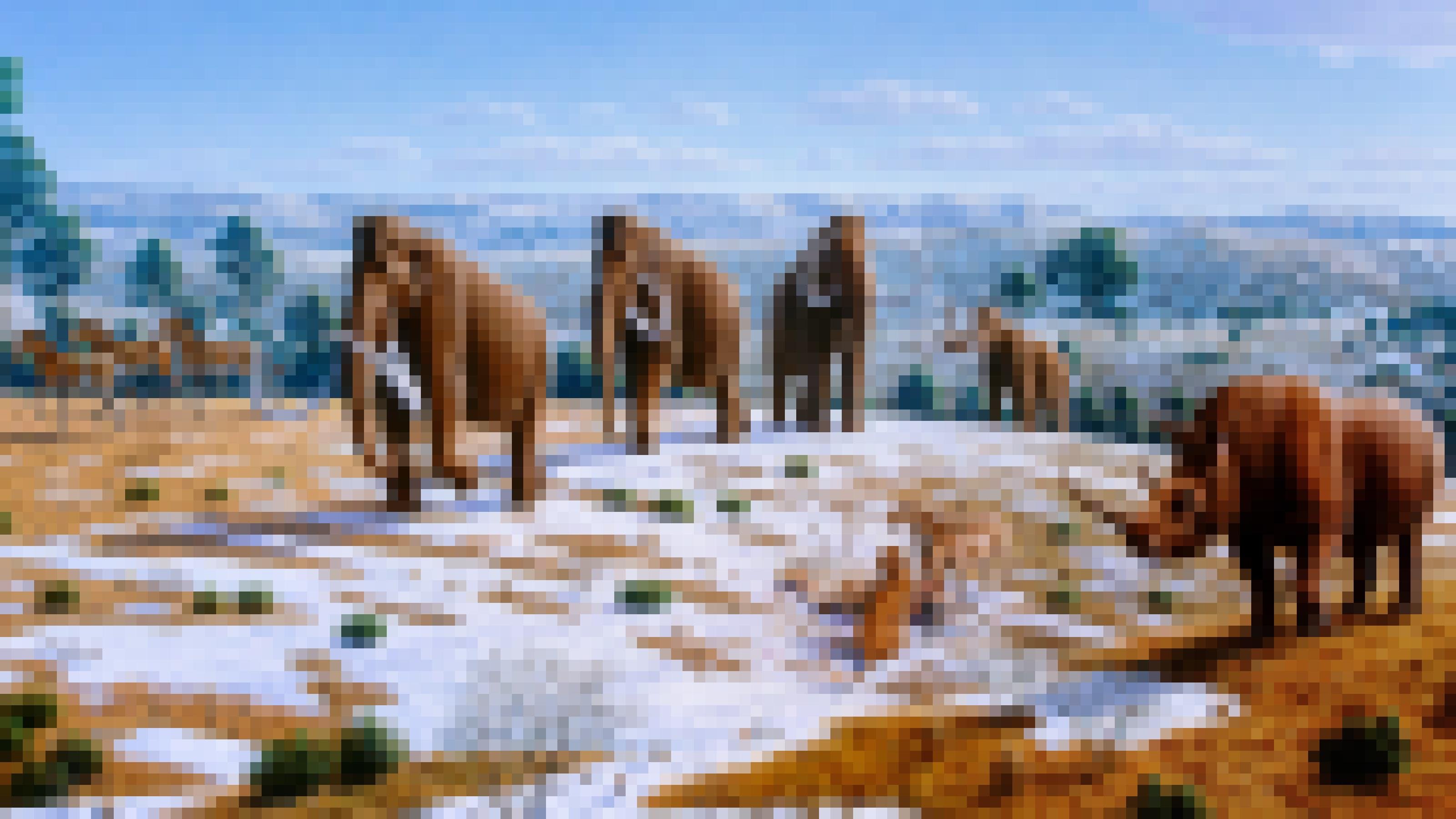 Die Illustration zeigt eine eiszeitliche Landschaft aus verdorrtem, bräunlichem Gras und teils mit Schnee bedeckt. Im Zentrum eine Gruppe Mammuts, links einige Pferde und rechts ein Wollnashorn. Dazwischen zwei Löwen mit einem erbeuteten Hirsch: Im Hintergrund kieferartige Nadelbäume, ganz hinten schneebedeckte Hügel.