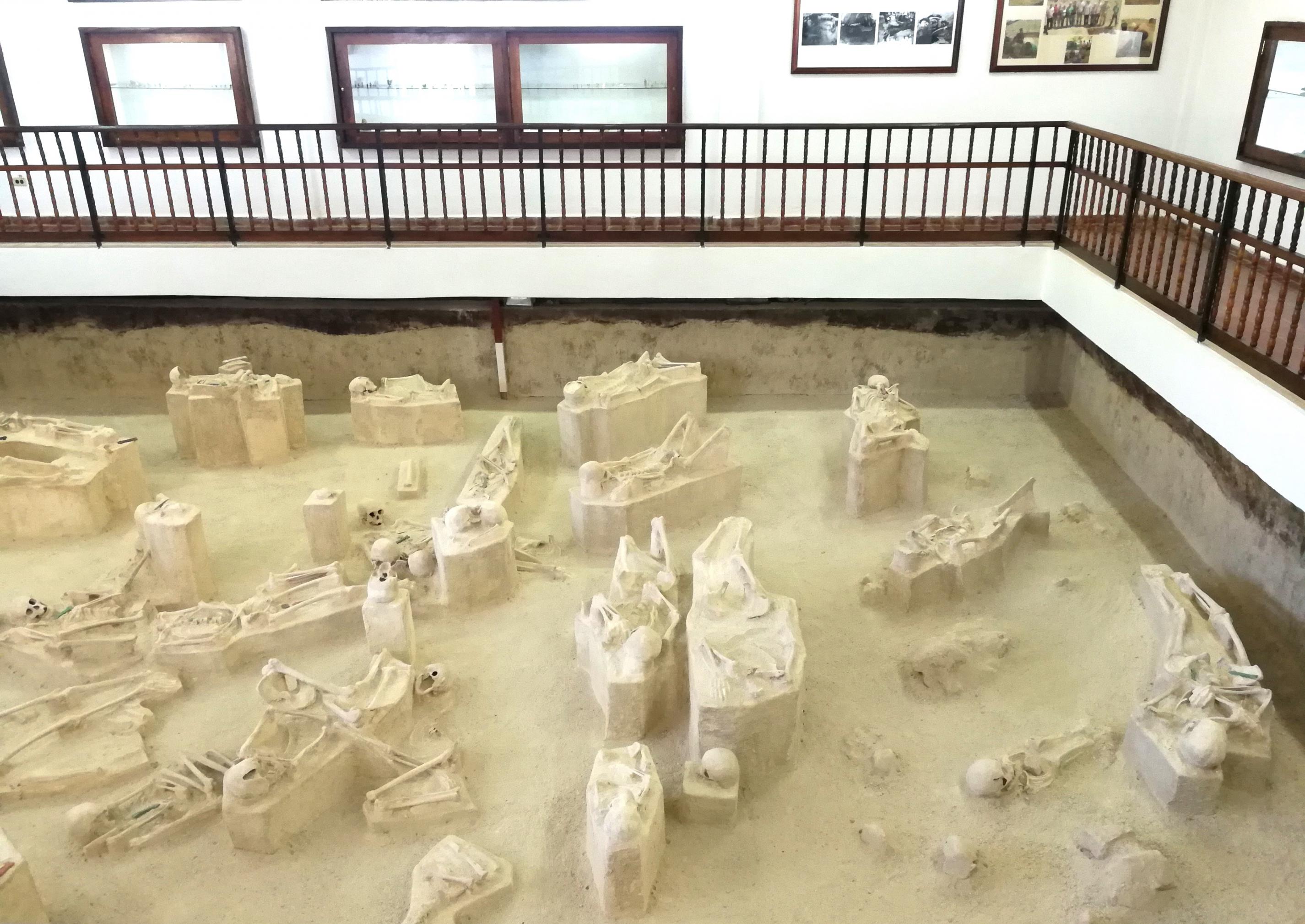 Im Innenraum eines Museums blickt man auf eine freigelegte Gräberfläche, in der mehrere Skelette in verschiedenen Haltungen zu sehen sind.