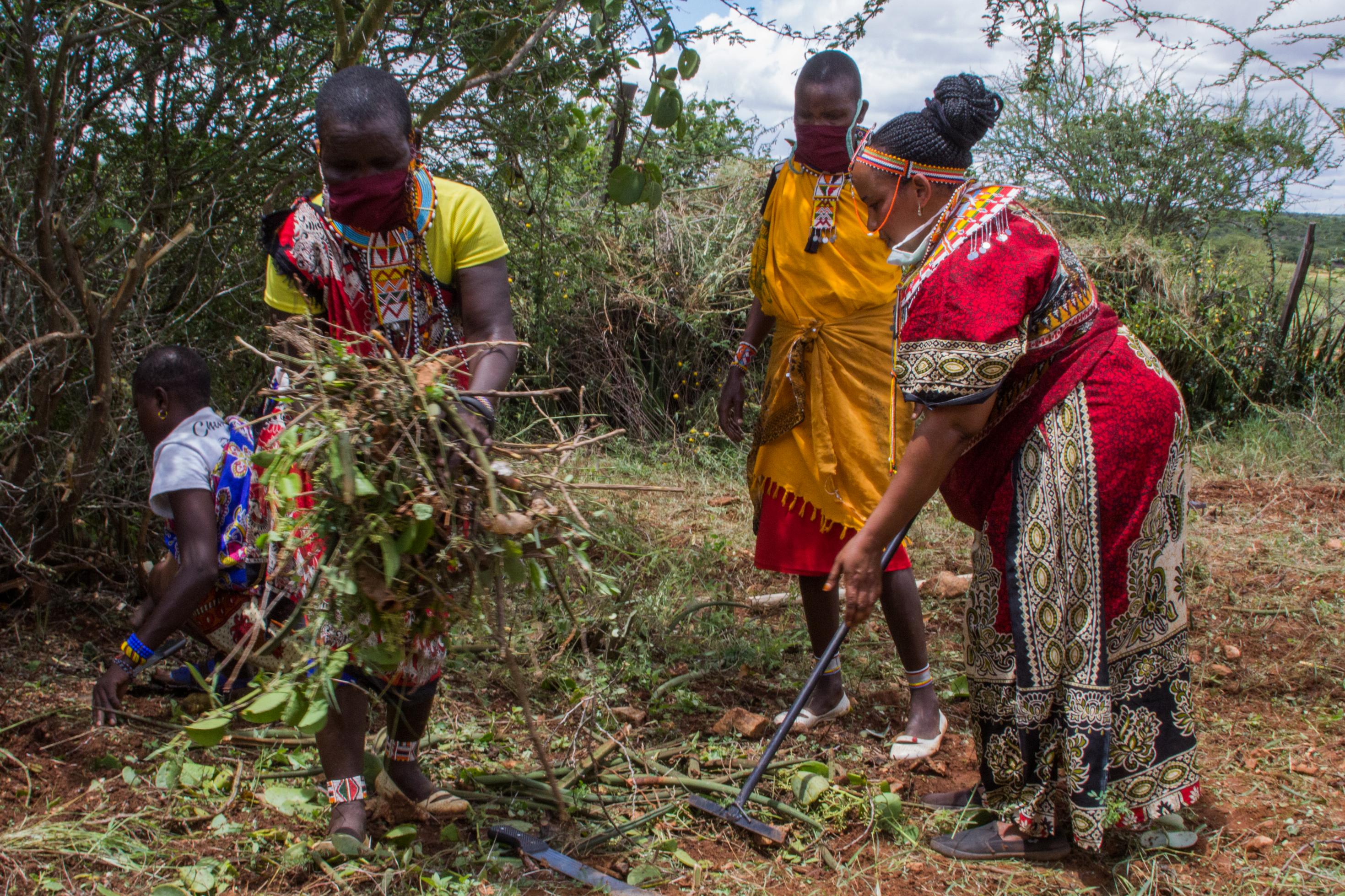 Ellie Modesta rodet gemeinsam mit anderen Maasai-Frauen ein Stück Land im Garten der Massai-Lodge in Laikipia. Hier wollen sie Gemüse anbauen.