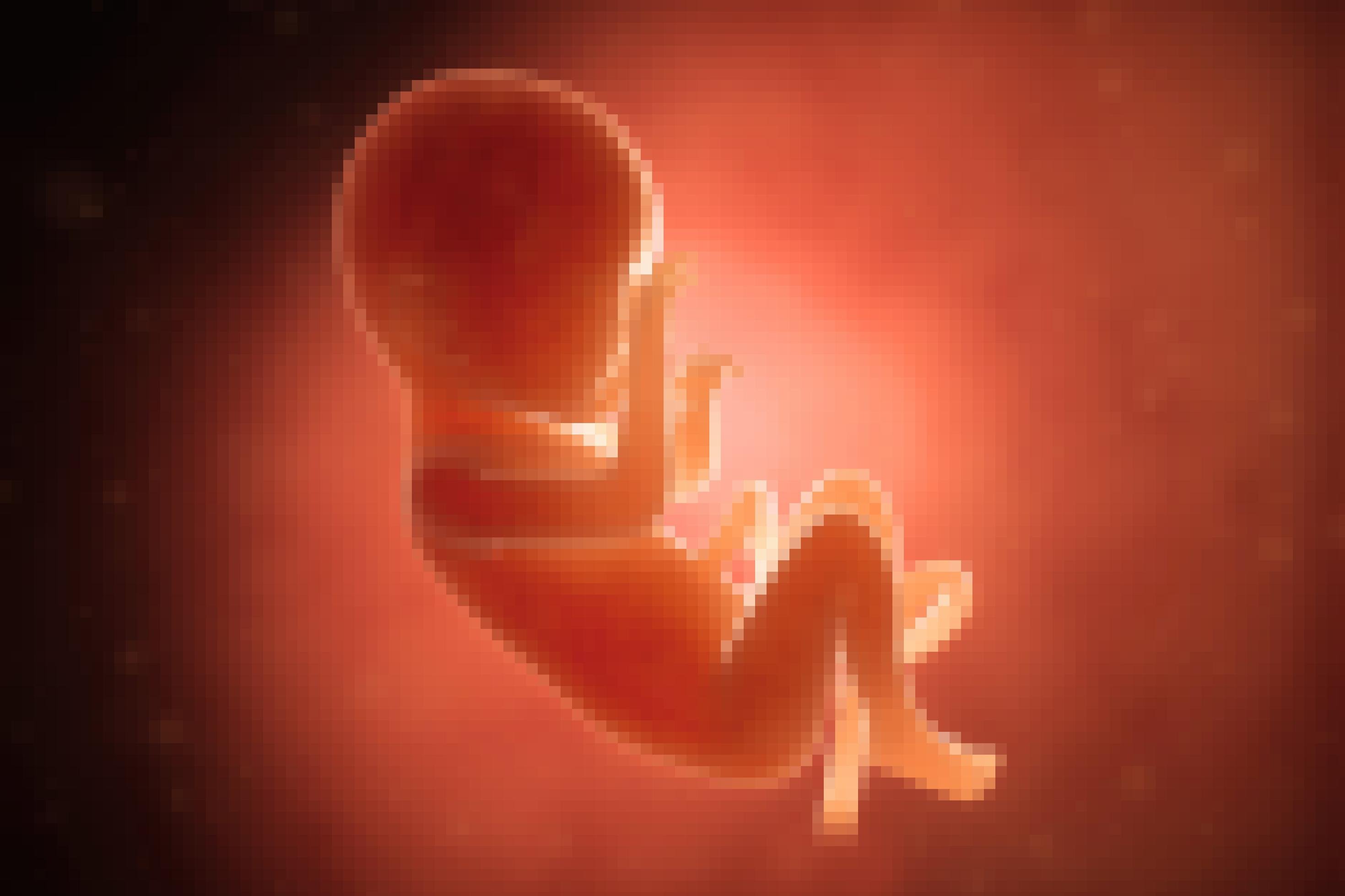Die Illustration zeigt ein kleines Kind in orange-roten Farben, noch vor der Geburt im Mutterleib schwebend, die Ärmchen und Beinchen entspannt, Rücken und Kopf leicht eingekrümmt. Vom Nabel führt die Nabelschnur weg. Von rechts oben wird das Menschlein mit einer nicht sichtbaren Lichtquelle magisch angestrahlt.