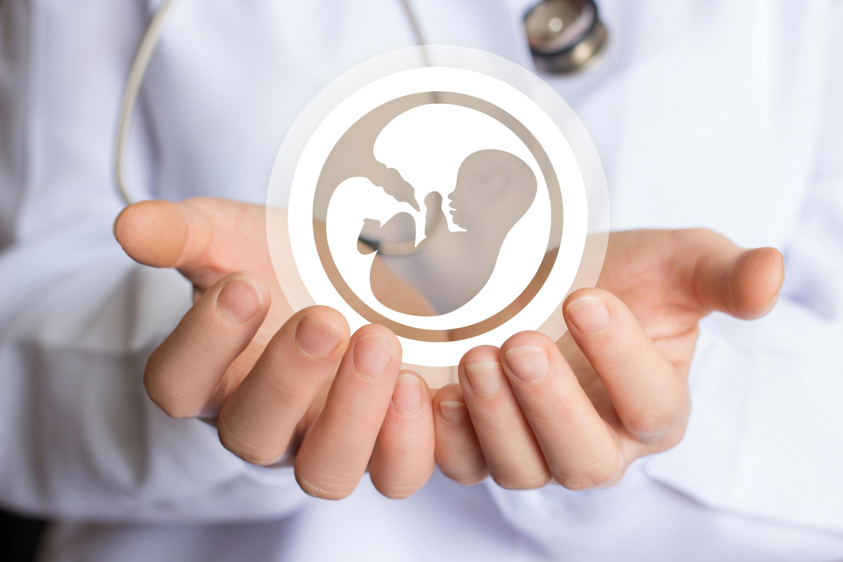 Ein Arzt hält ein Icon eines Embryos in der Hand. Symbol für den Schutz von Embryonen bei der Forschung und künstlicher Befruchtung.