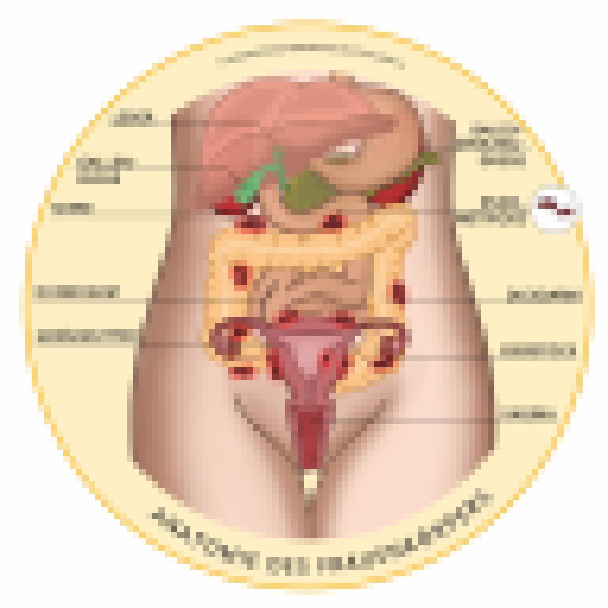 Grafische Darstellung des weiblichen Beckens mit den inneren Organen.