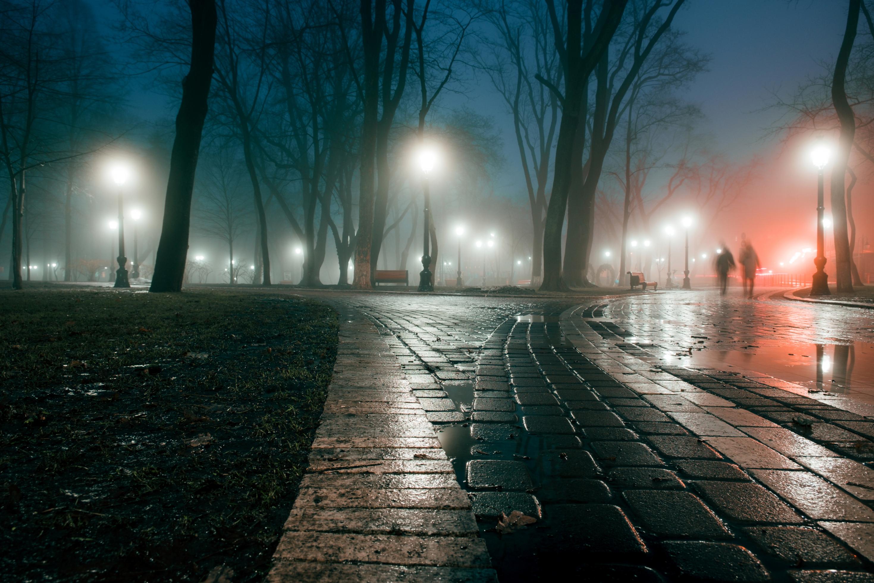 Nebel über eine Straße mit Bäumen bei Nacht.