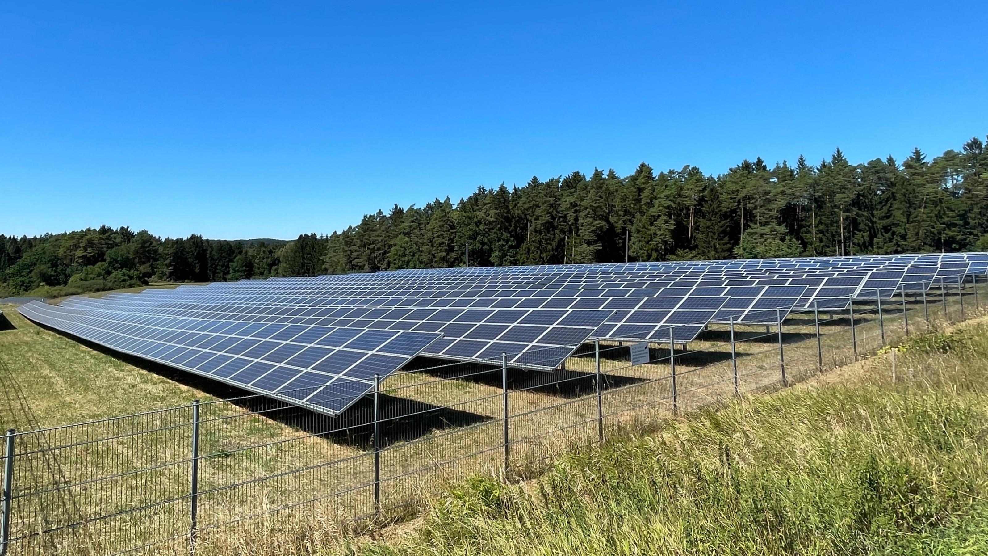 Schwarz schimmernde Solarmodule auf einer Wiesenfläche am Waldrand.