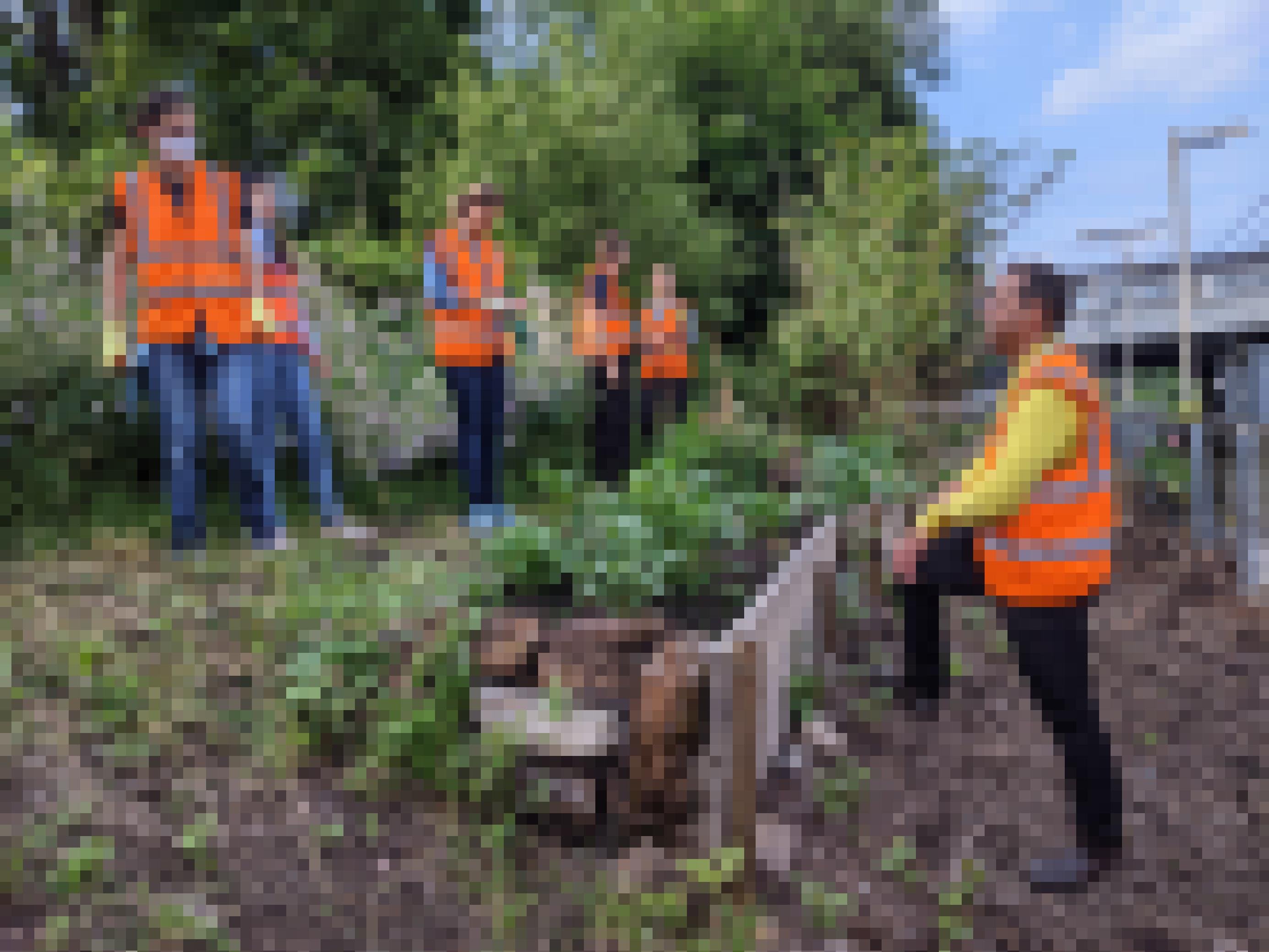 An einer Böschung arbeiten Helferïnnen und pflanzen im Energy Garden in Brondesbury Park Gartenkräuter. Rechts steht der Initiator des Projekts, Agamemnon Otero und unterhält sich mit ihnen.