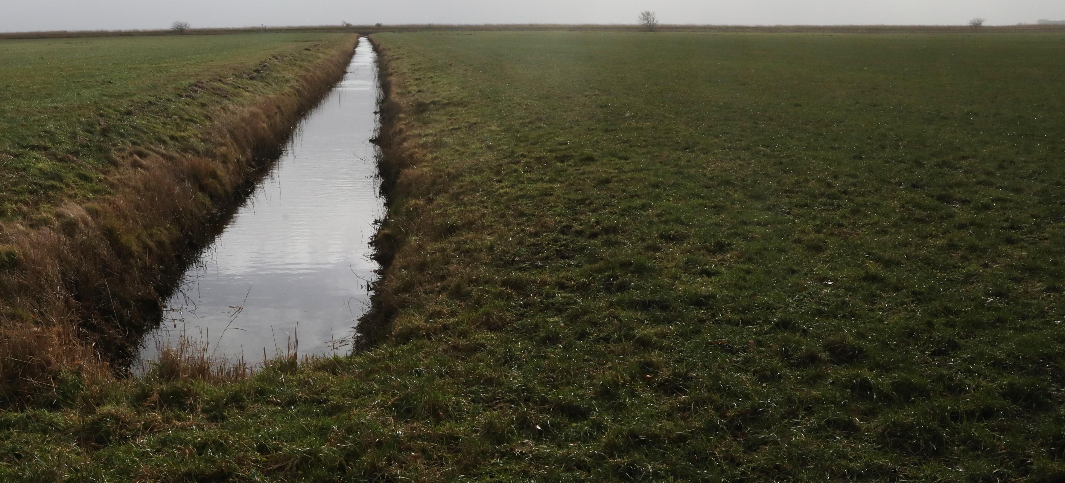 Ein Entwässerungsgraben in einem trockengelegten Moor