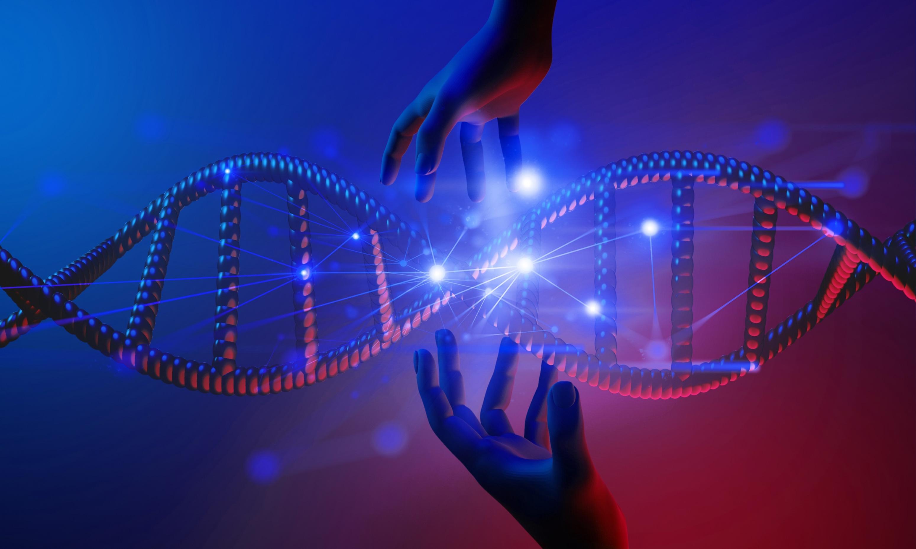 3-D-Grafik der DNA-Doppelhelix vor blauem Hintergrund. Von oben und unten greifen Hände danach und versuchen, sie zu verändern.