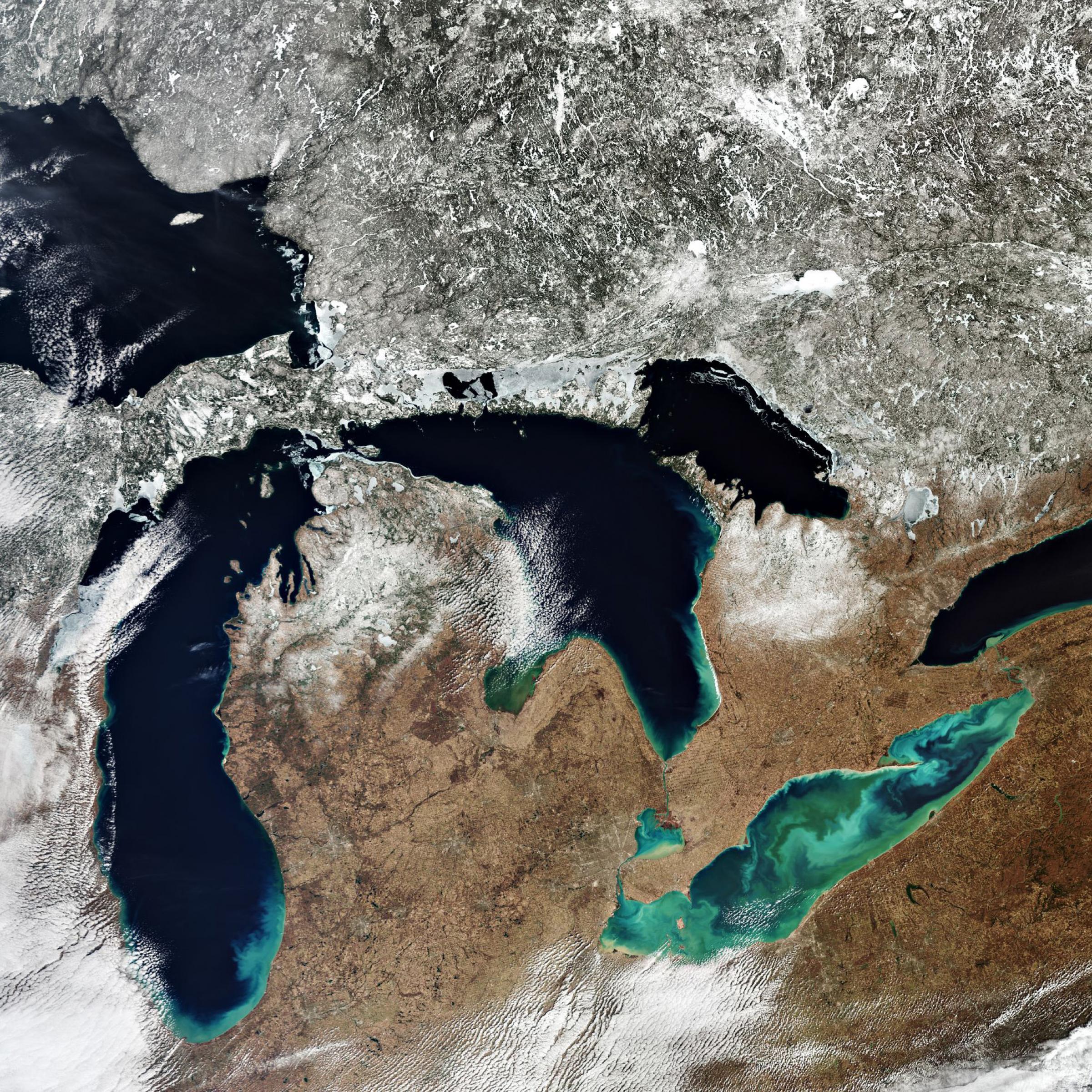 Satellitenbild der Großen Seen in den USA; im Südosten der Eriesee mit schlierigen Verfärbungen durch Algen