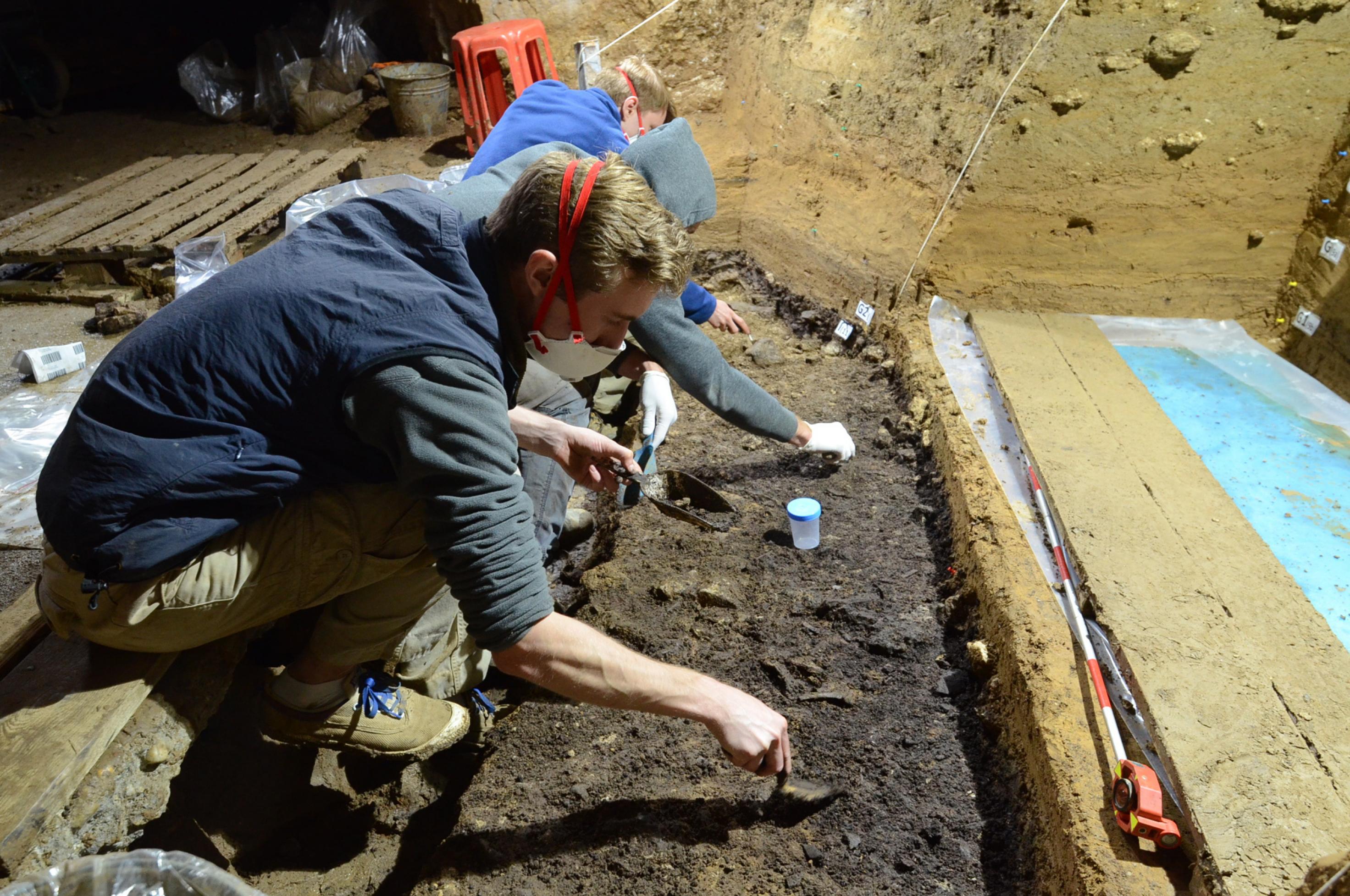 Auf der linken Seite des Bildes hocken mehrere Archäologen am Boden der Bacho-Kiro-Höhle und graben in einer dunklen Bodenschicht vorsichtig mit speziellen Schaufeln und Spateln nach Relikten der früheren Bewohner. Weiter rechts und im Hintergrund sind hellere, höher liegende Bodenschichten zu erkennen, zudem ein Maßband, ein Holzbrett und Plastikplanen, die Teile des Bodens abdecken.