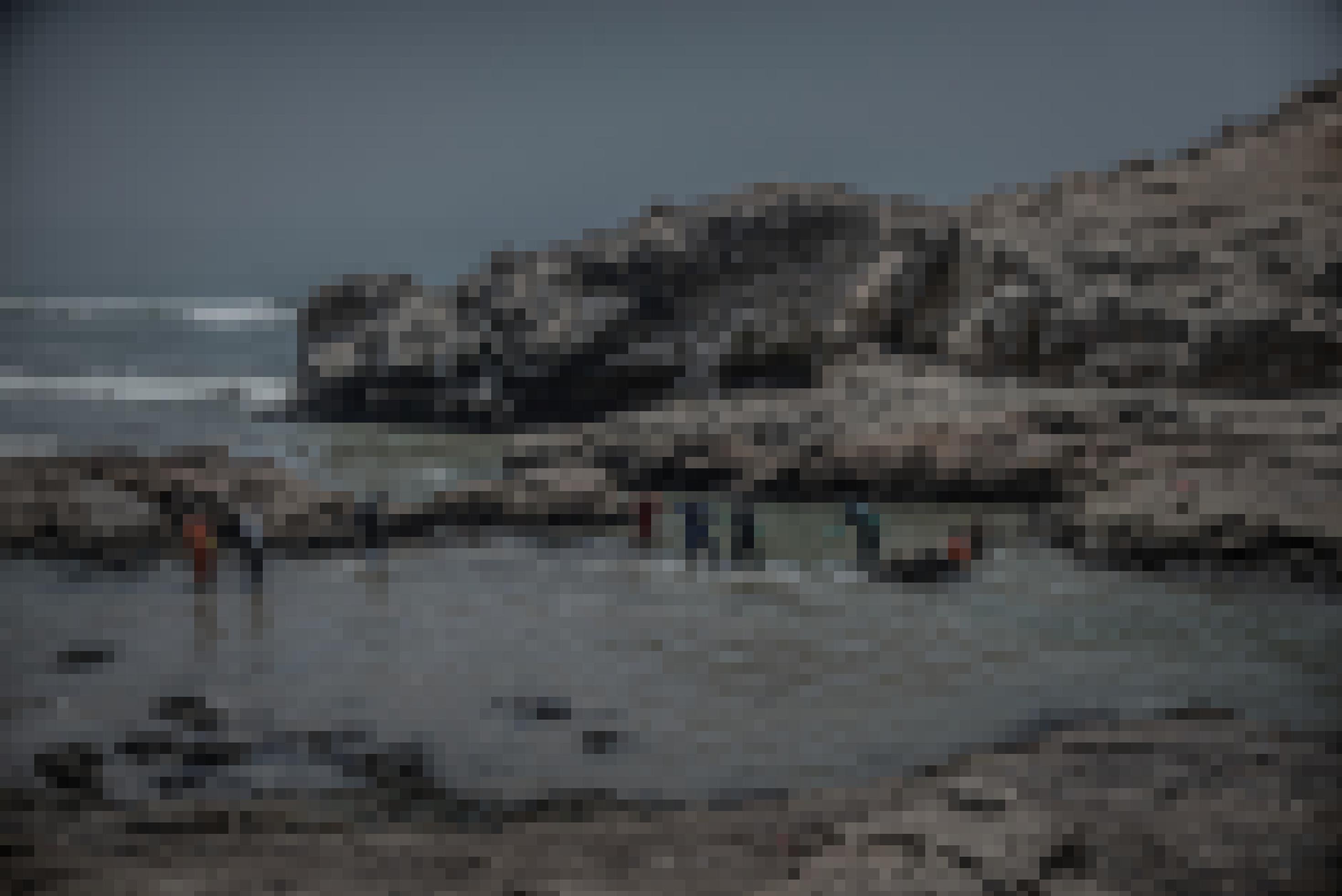 Strand, Felsen, darauf Vögel. In einer kleinen Lagune stehen acht Menschen, in einer Art Schlage, um die Vögel von den Felsen zu retten.