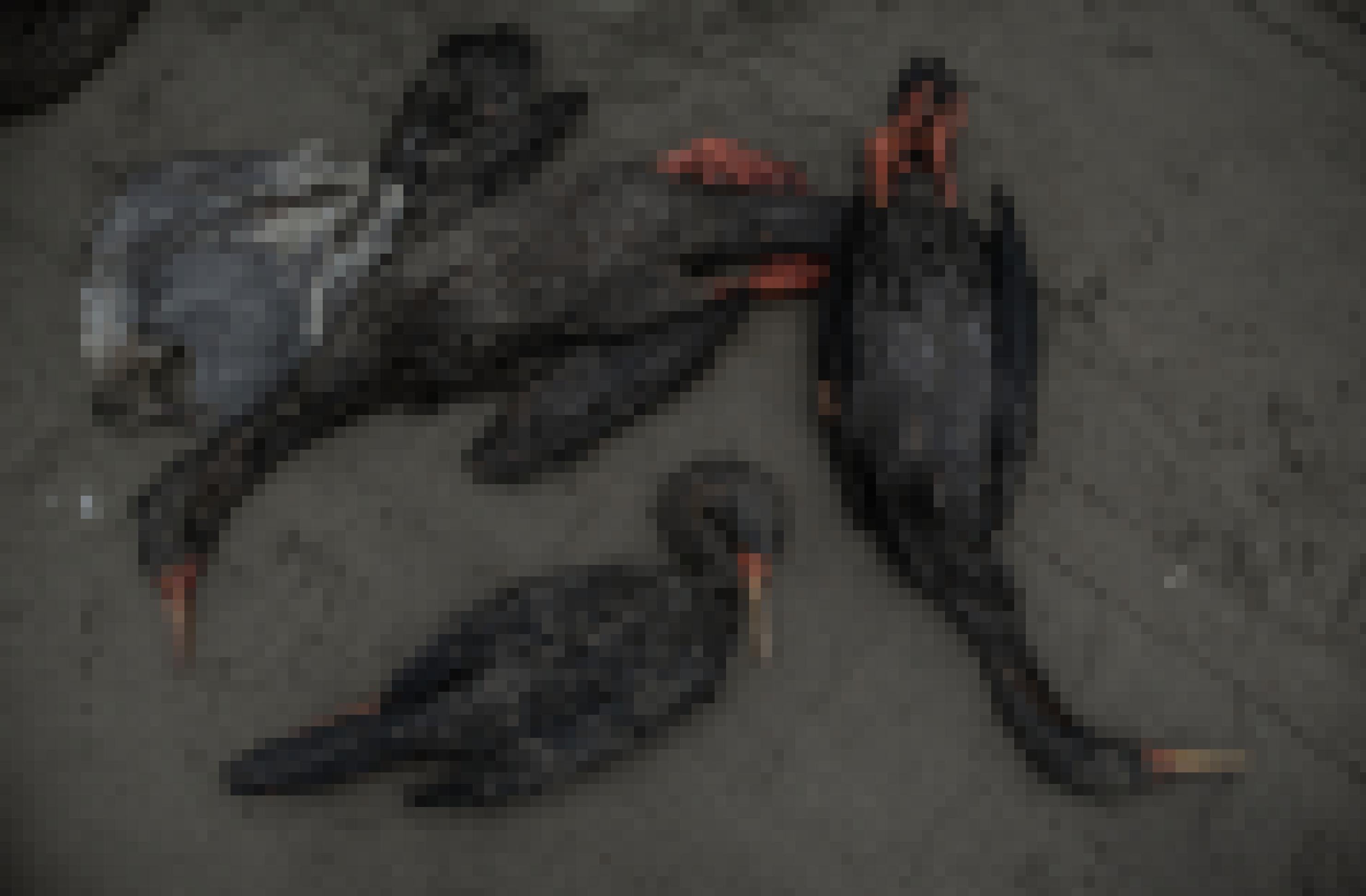 Drei tote schwarze Vögel und eine tote Möwe liegen an einem Strand. Sicht von oben auf die Vögel.