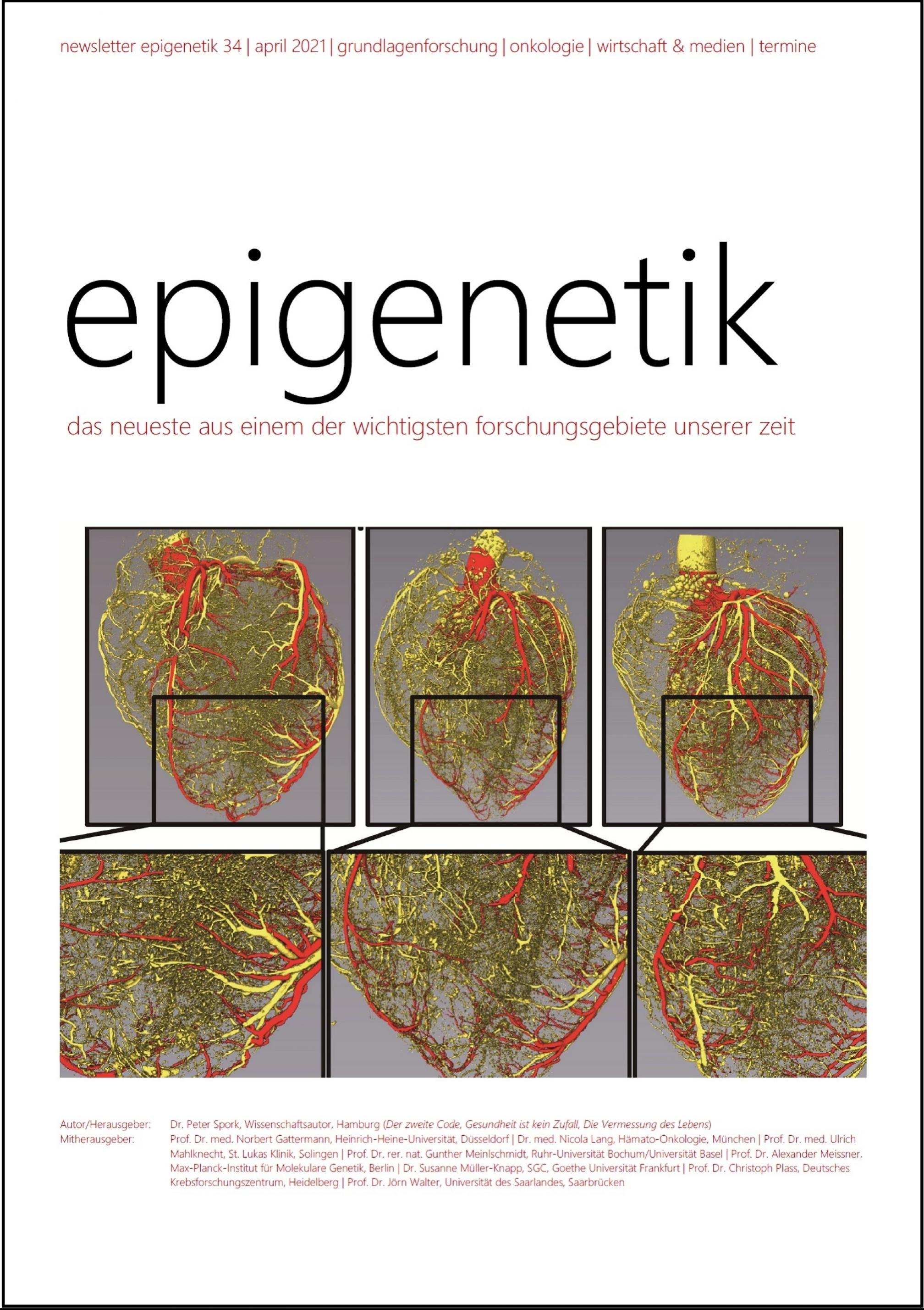 Epigenetik: Das neueste aus einem der wichtigsten Forschungsgebiete unsere Zeit.