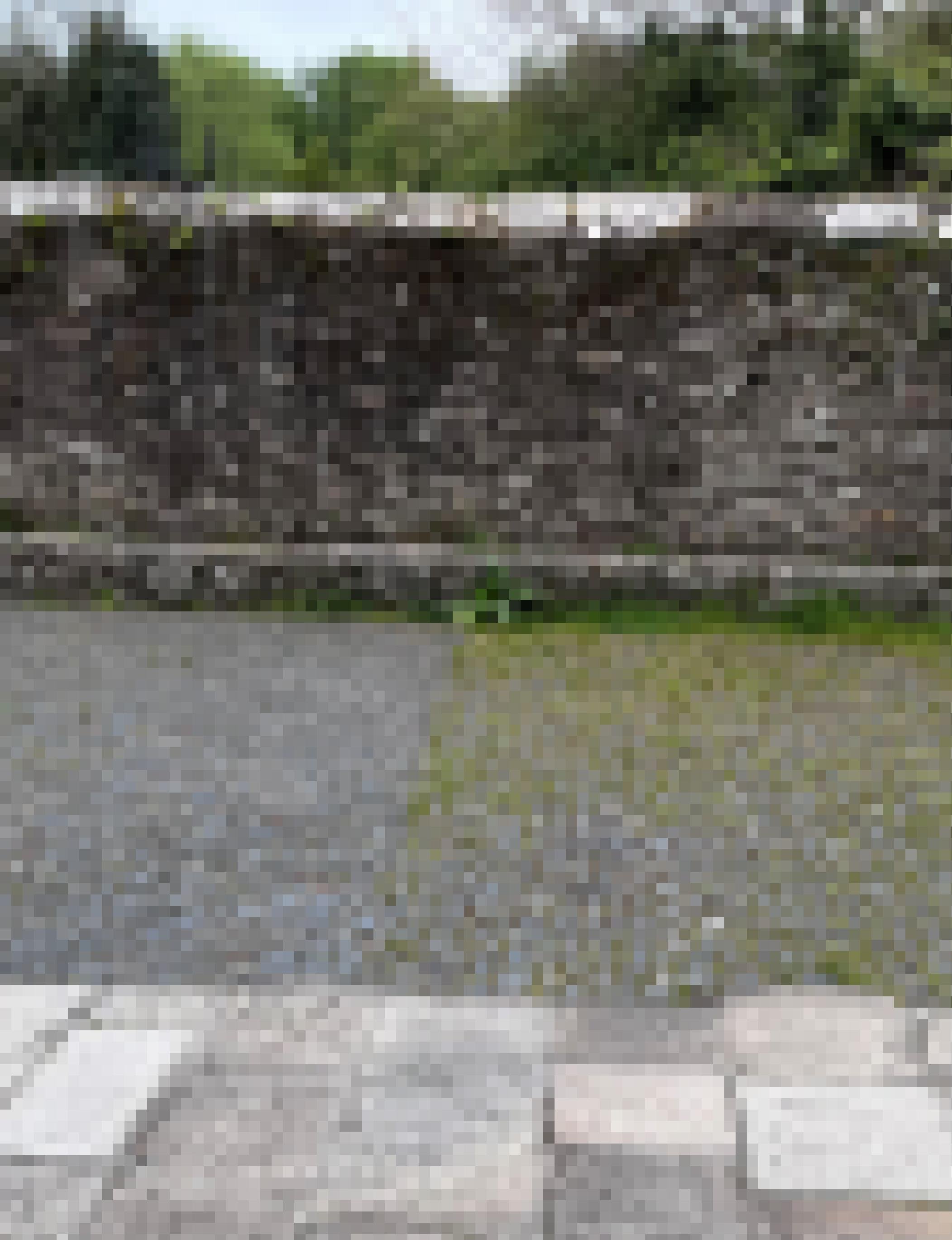 Das Bild zeigt Bodenplatten, Kopfsteinpflaster und eine Mauer, die links „sauber“ gemacht wurde und rechts von Kräutern besiedelt werden kann.