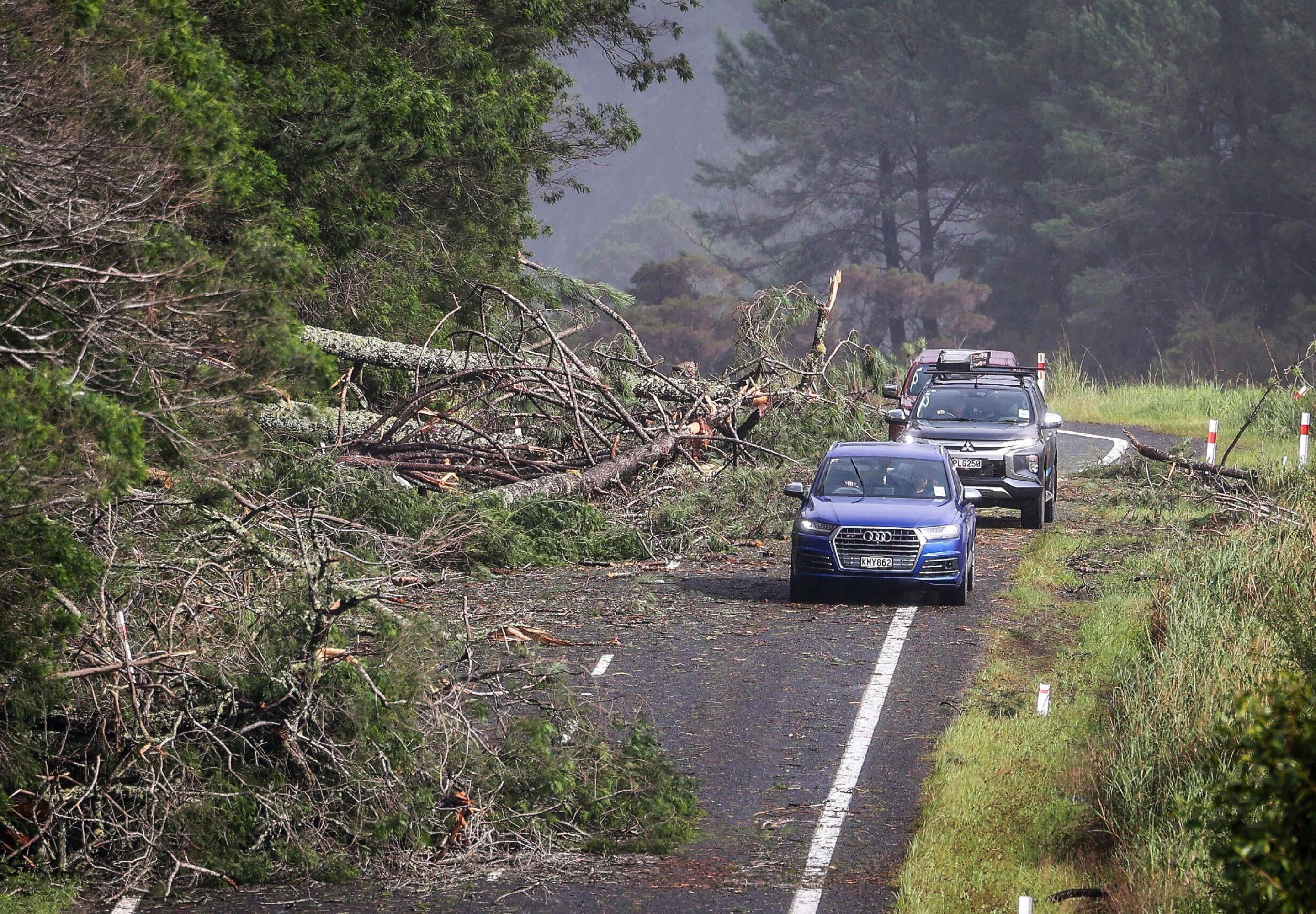 Umgeknickte Bäume liegen auf einer Straße am Cook's Beach nahe Auckland. Die Autos versuchen auszuweichen.