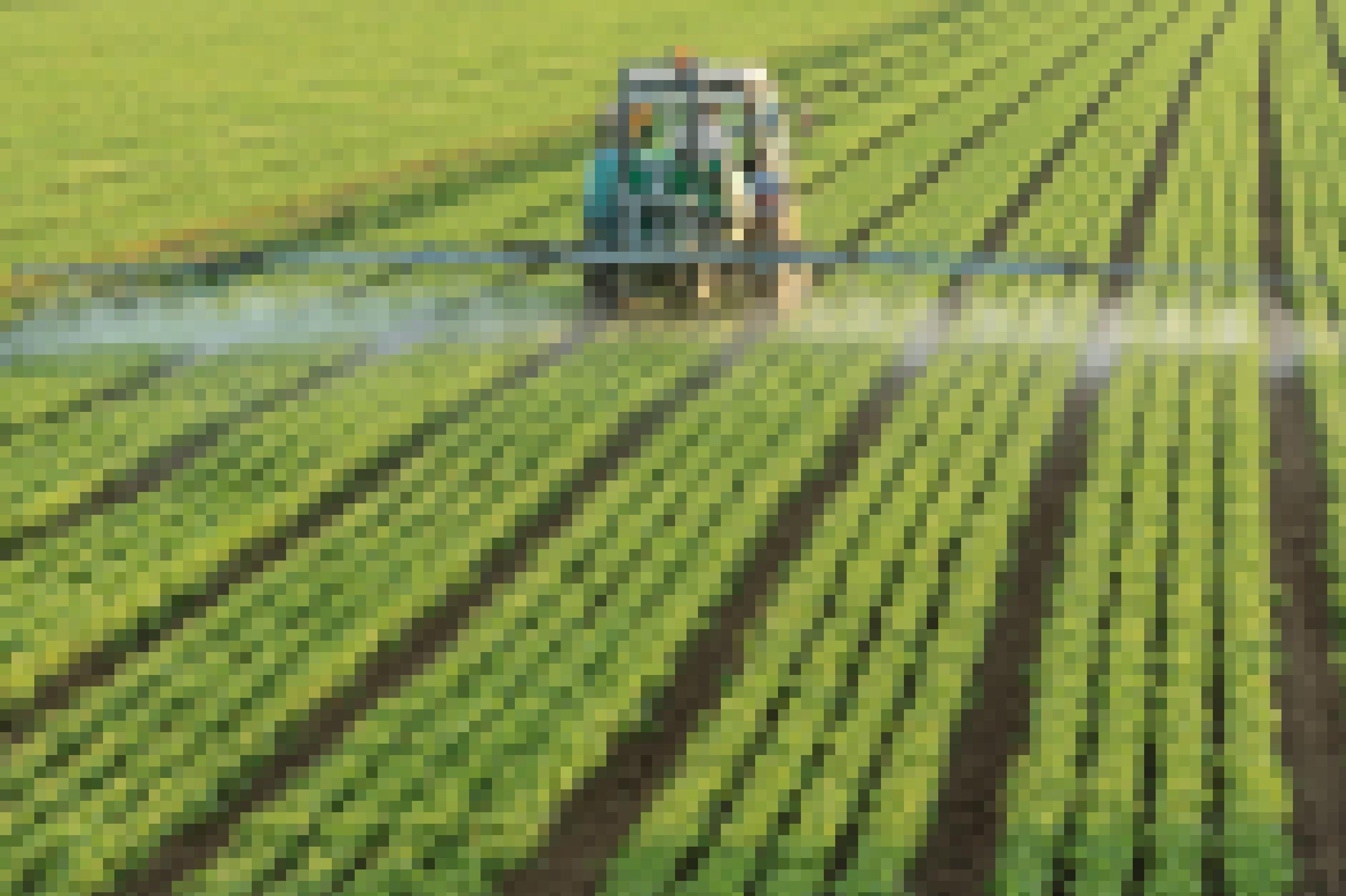 Ein Traktor sprüht Pestizide auf junge Pflanzen auf einem Acker.