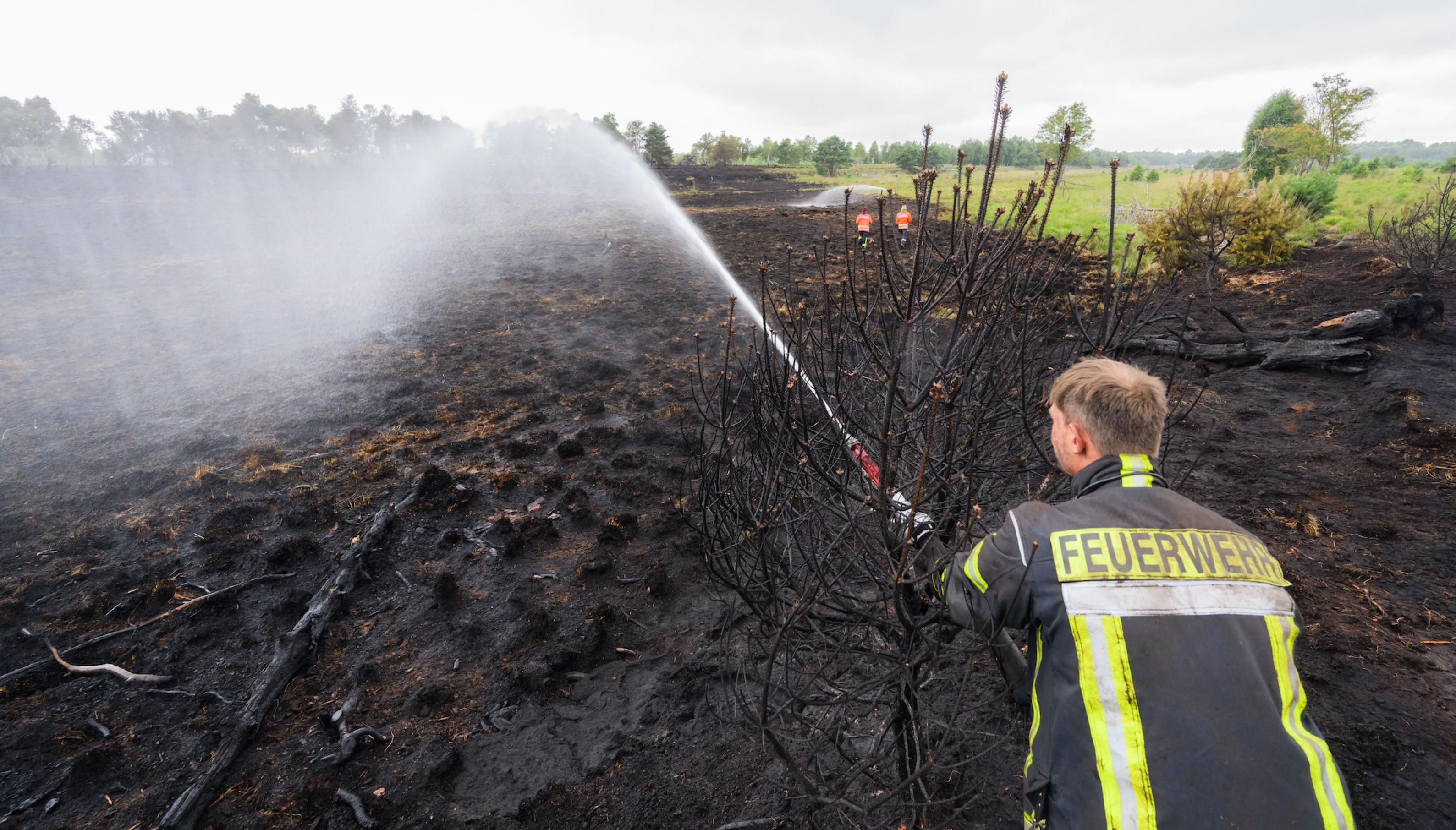 Feuerwehrmann spritzt Wasser aus dickem Schlauch auf verkohlte Moorfläche.