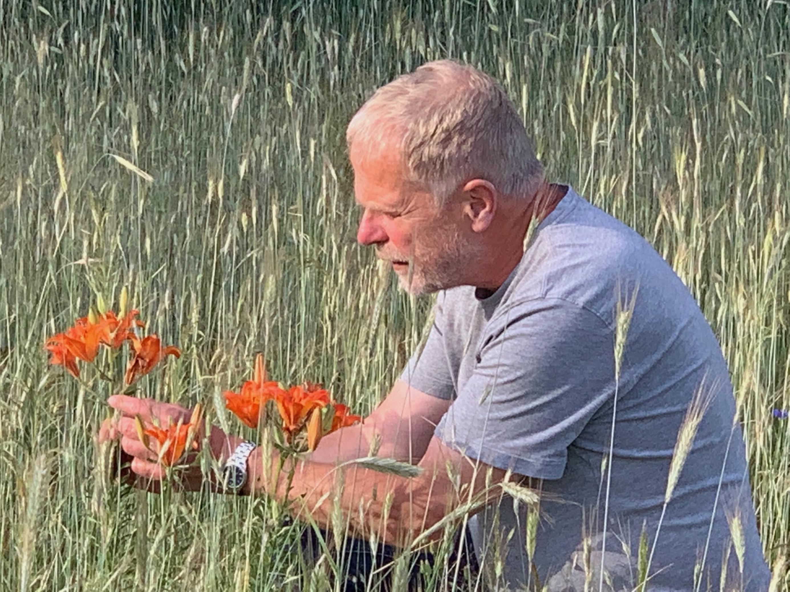 Mann hockt auf dem Boden zwischen Getreidehalmen, die Hände um eine Lilienblüte gelegt