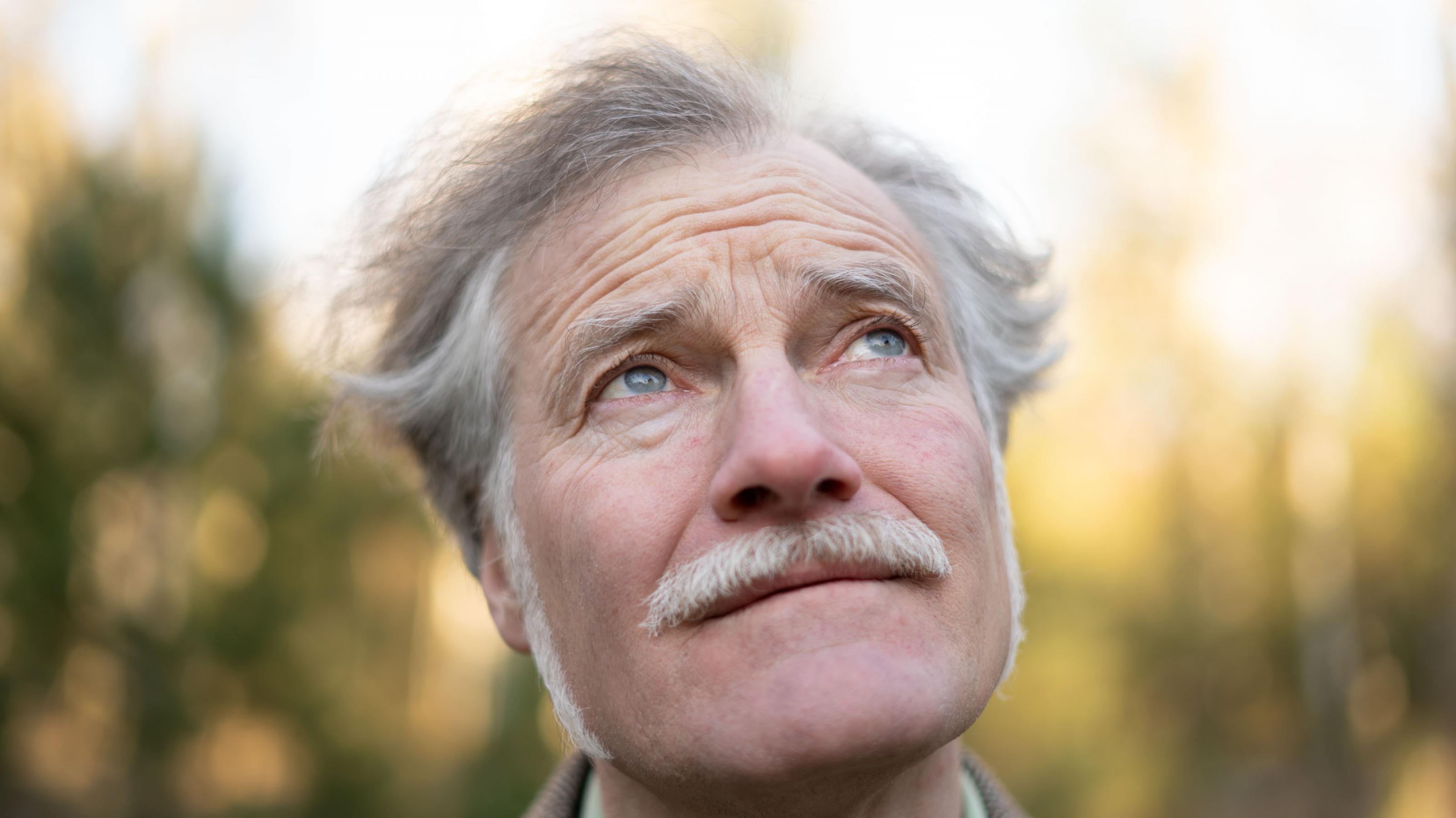 Fieldwriter Gerhard Richter blickt neugierig nach oben in die Bäume