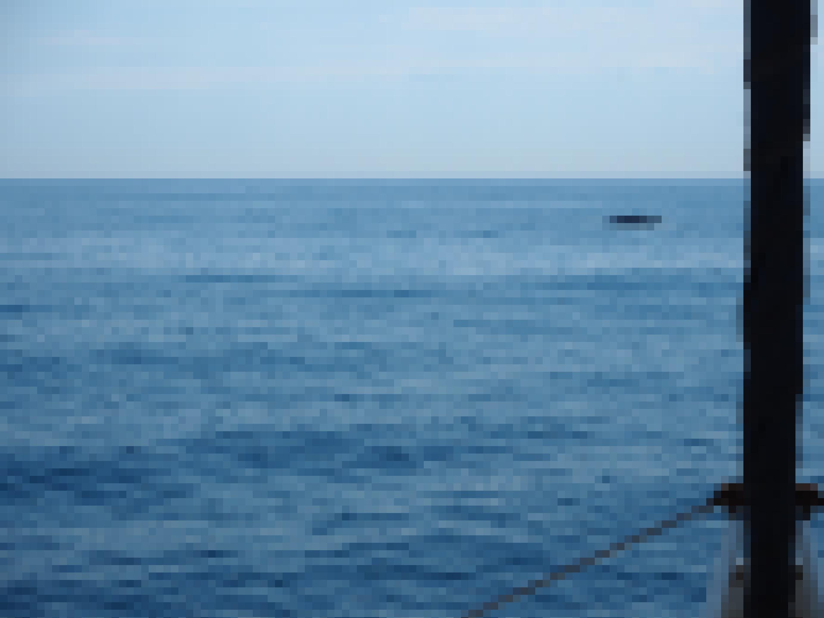 Vom Bug eines Katamarans aus kann man einen Finnwal sehen, wie er vor der katalanischen Küste nach Nahrung sucht.