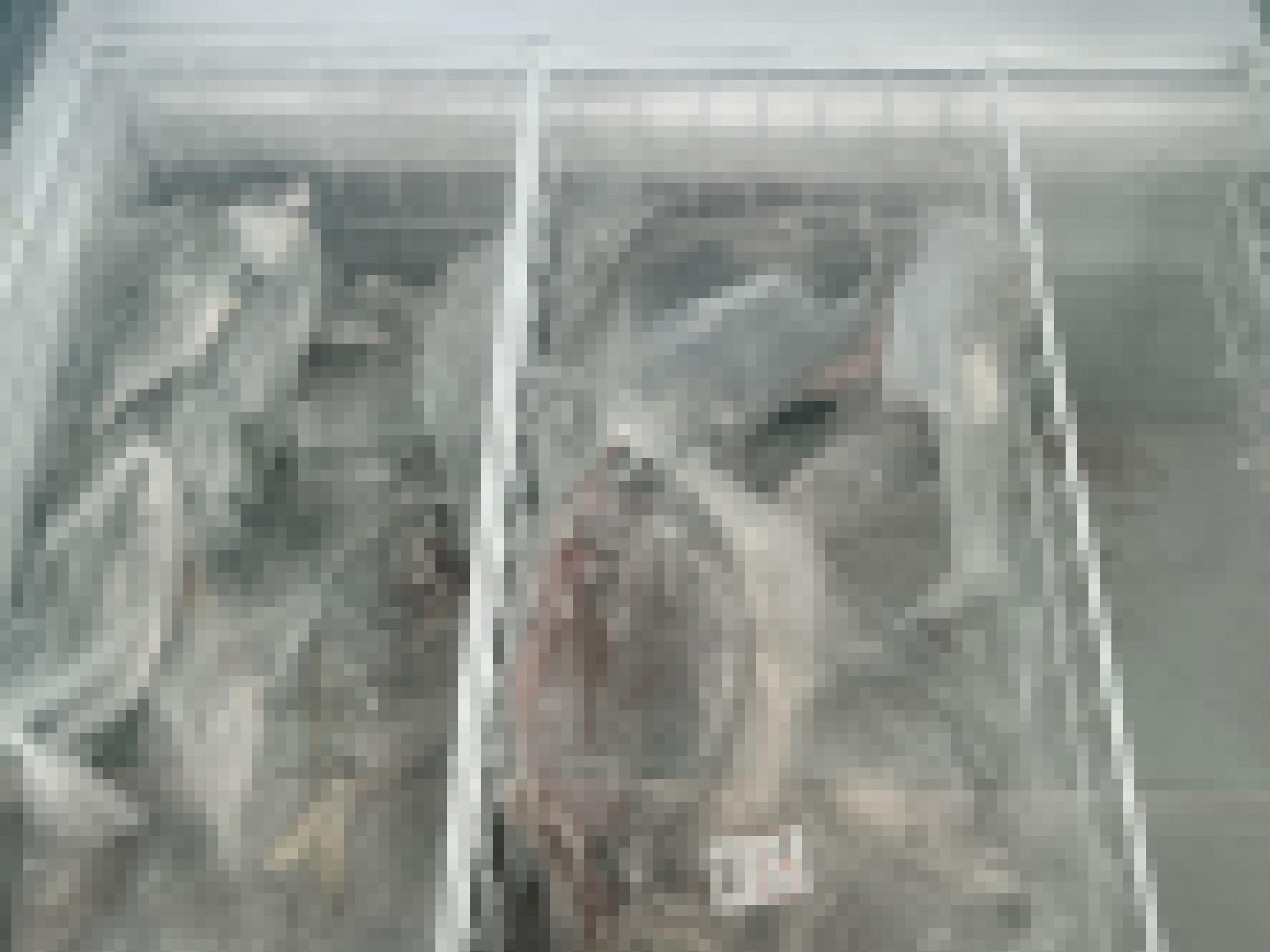 In einer Kühltruhe liegen in Plastik verpackte Fische