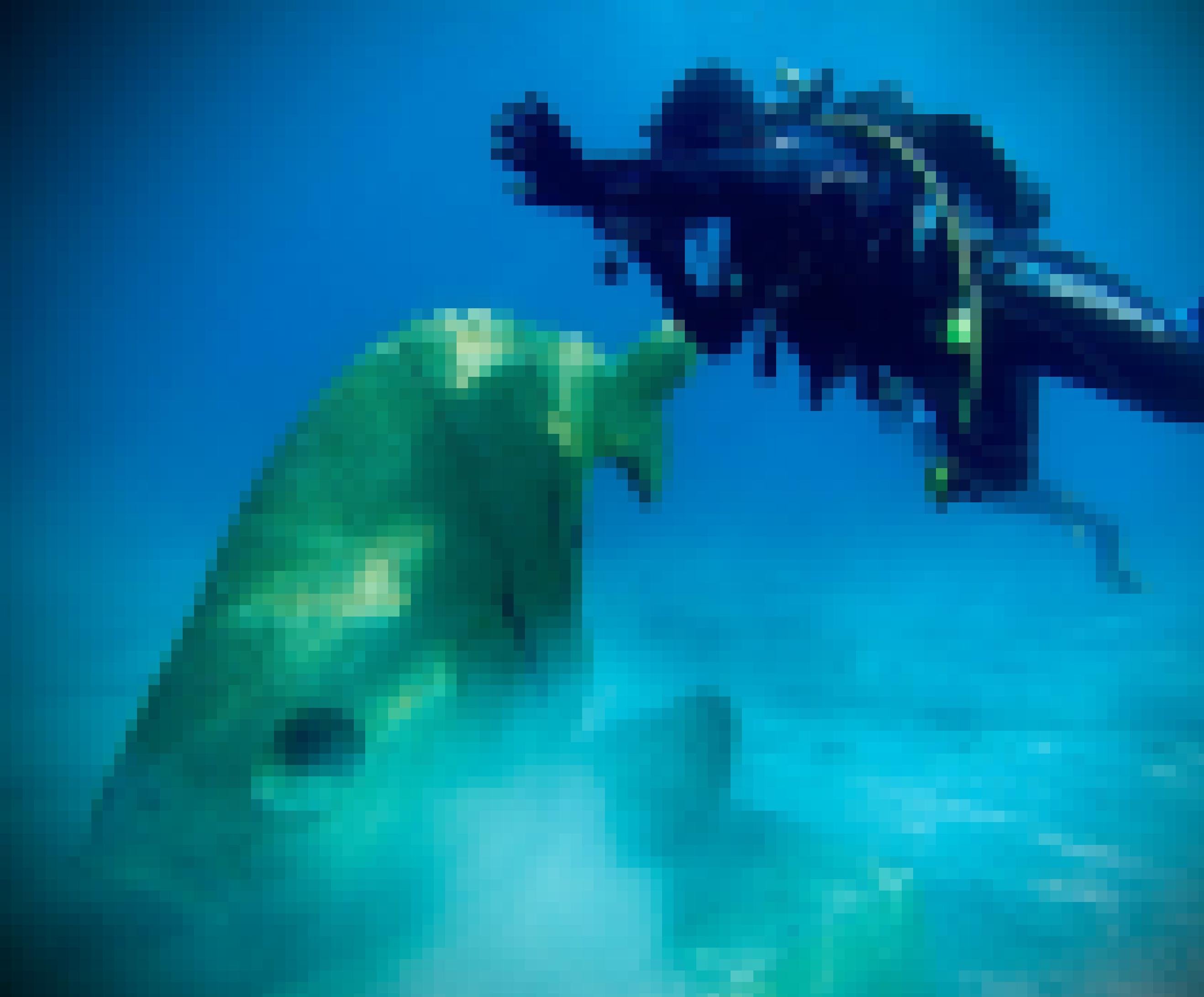 Ein Taucher schwimmt um eine gigantische Fischstatue
