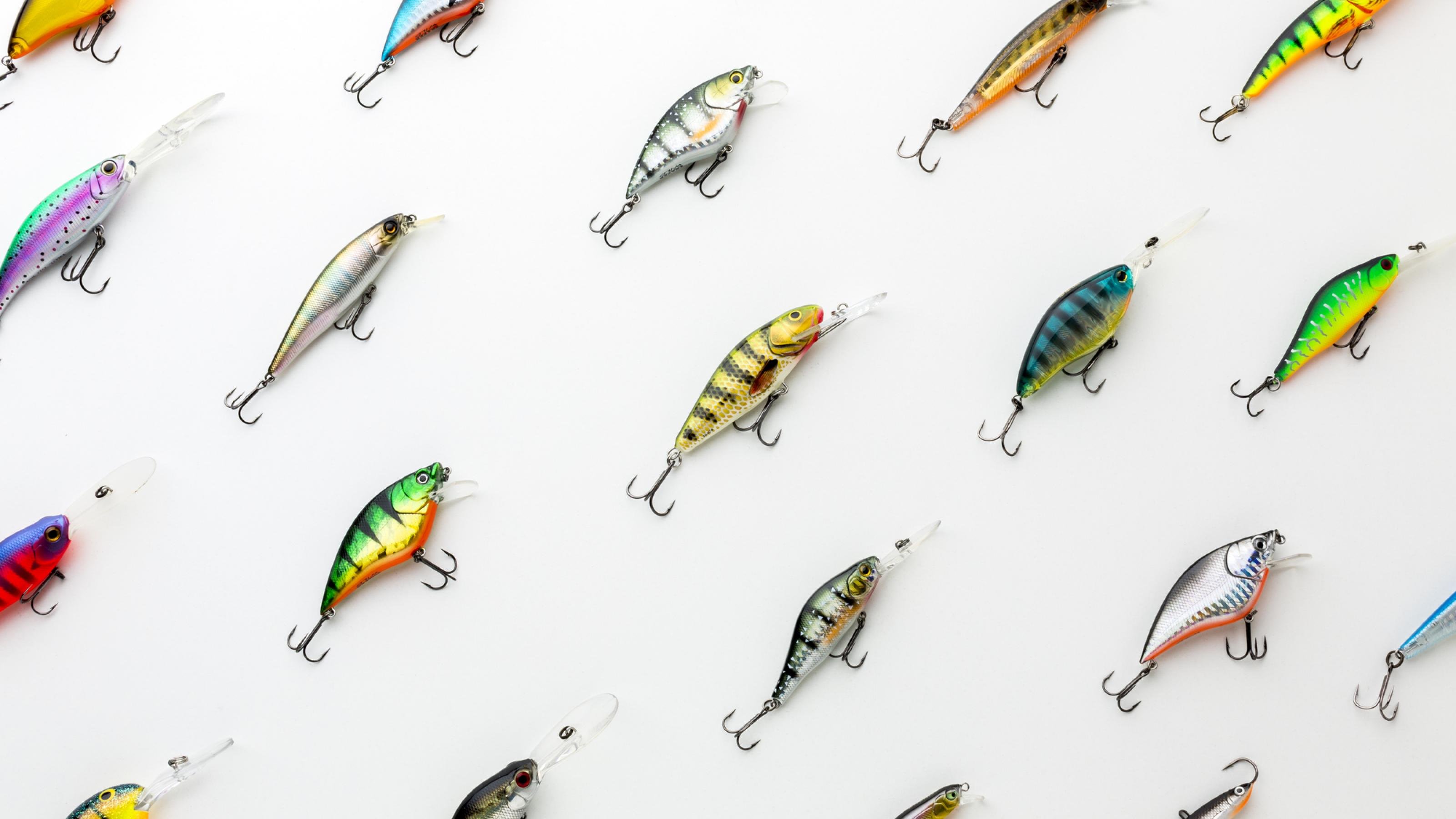 Das Bild zeigt ordentlich angeordnete Fischköder – es sind selbst farbenfrohe kleine Fischlein mit Haken.