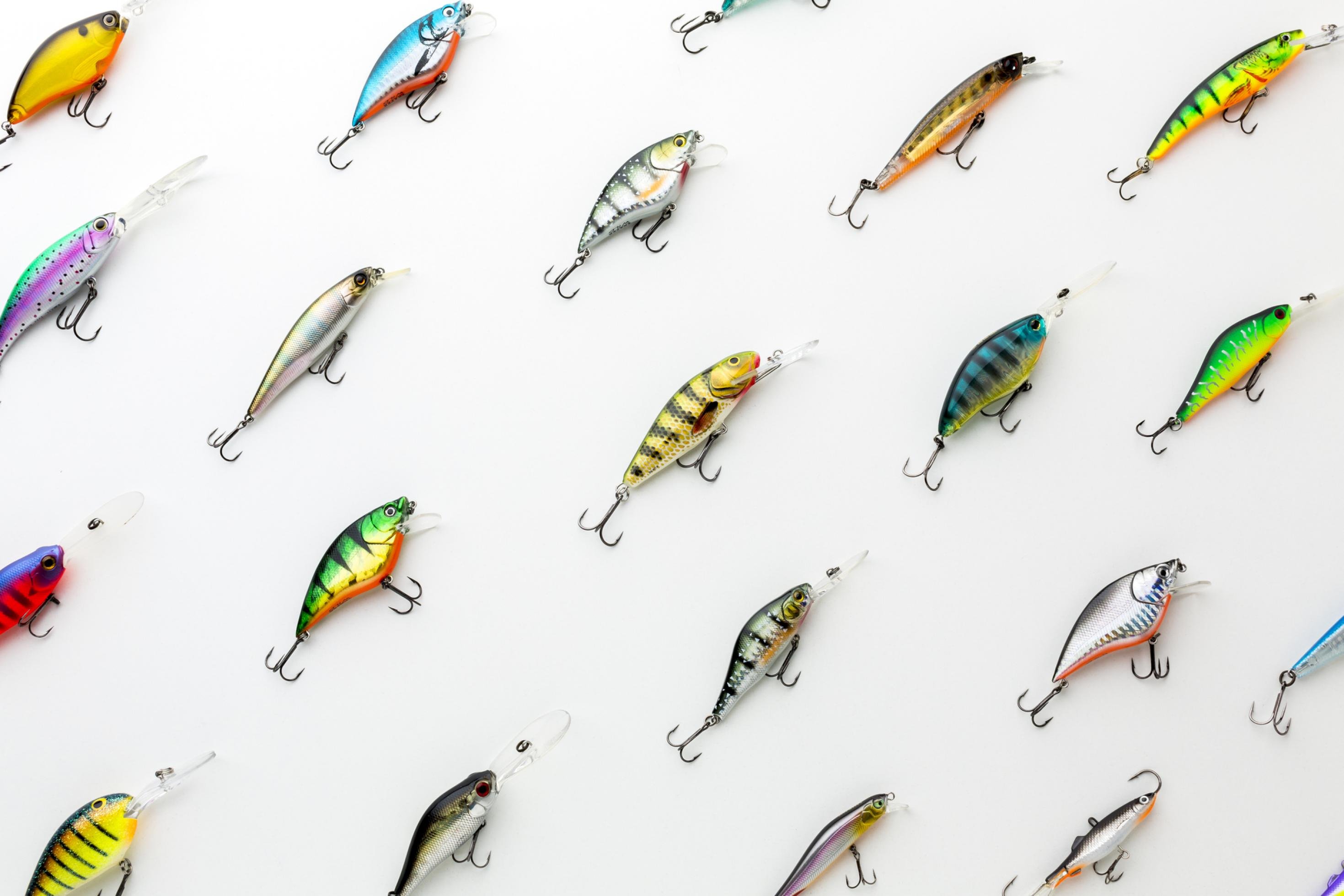 Das Bild zeigt ordentlich angeordnete Fischköder – es sind selbst farbenfrohe kleine Fischlein mit Haken.