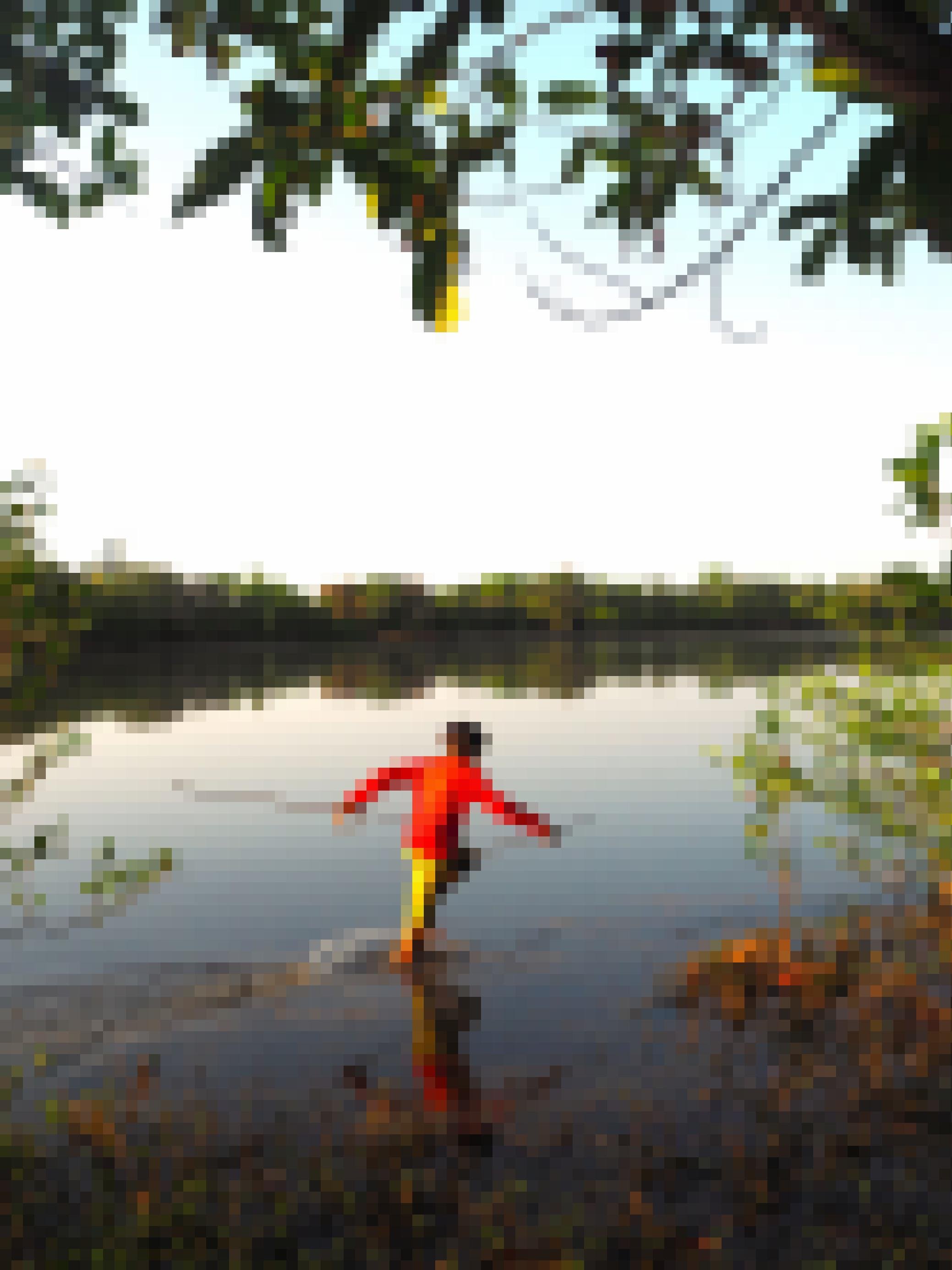 Ein Junge im roten Hemd watet durch die Lagune. Er ist mit angespitzten Stöcken bewaffnet, um die Fische aufzuspießen. e