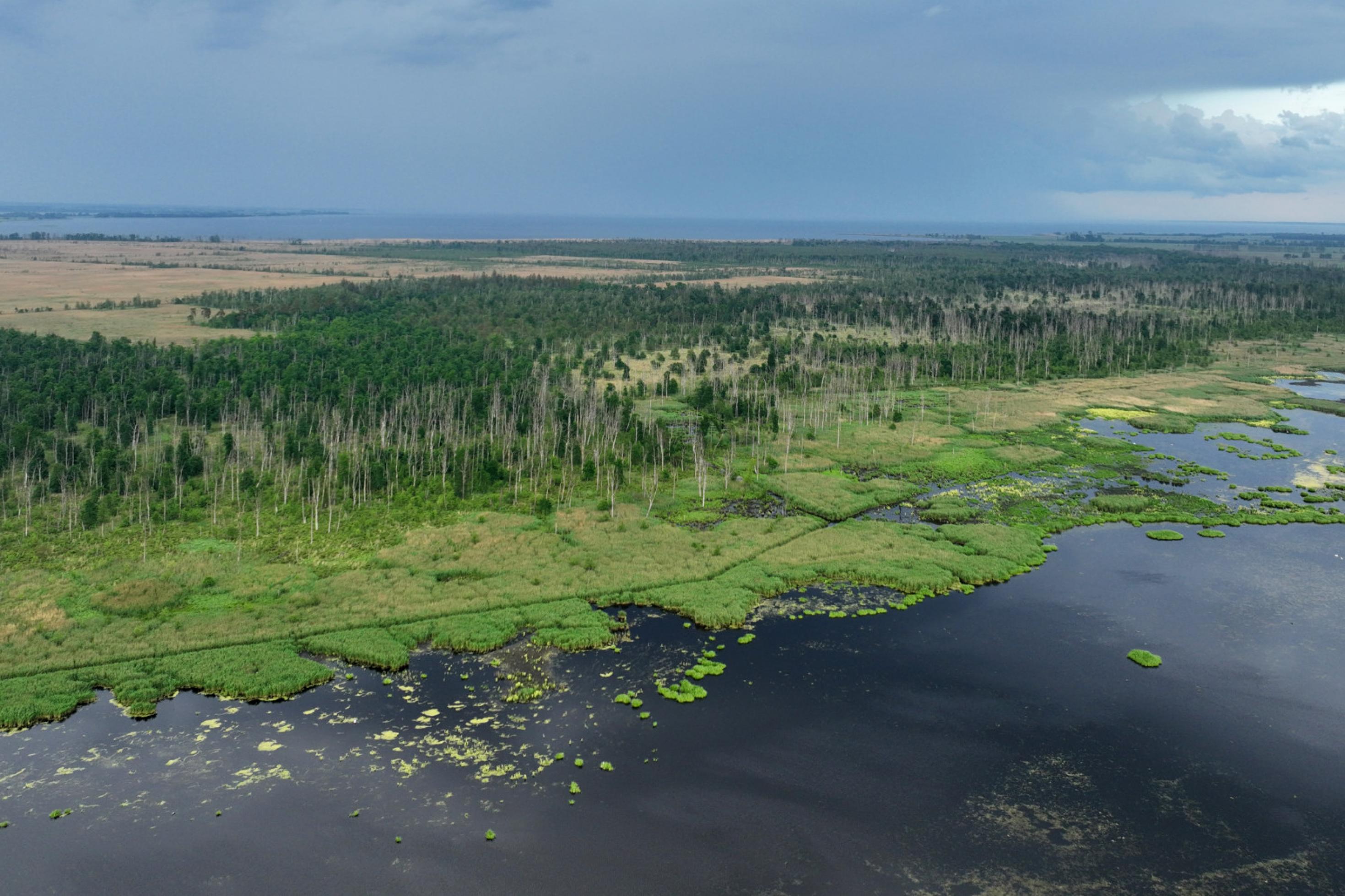 Drohnenfoto eines überschwemmten Polders