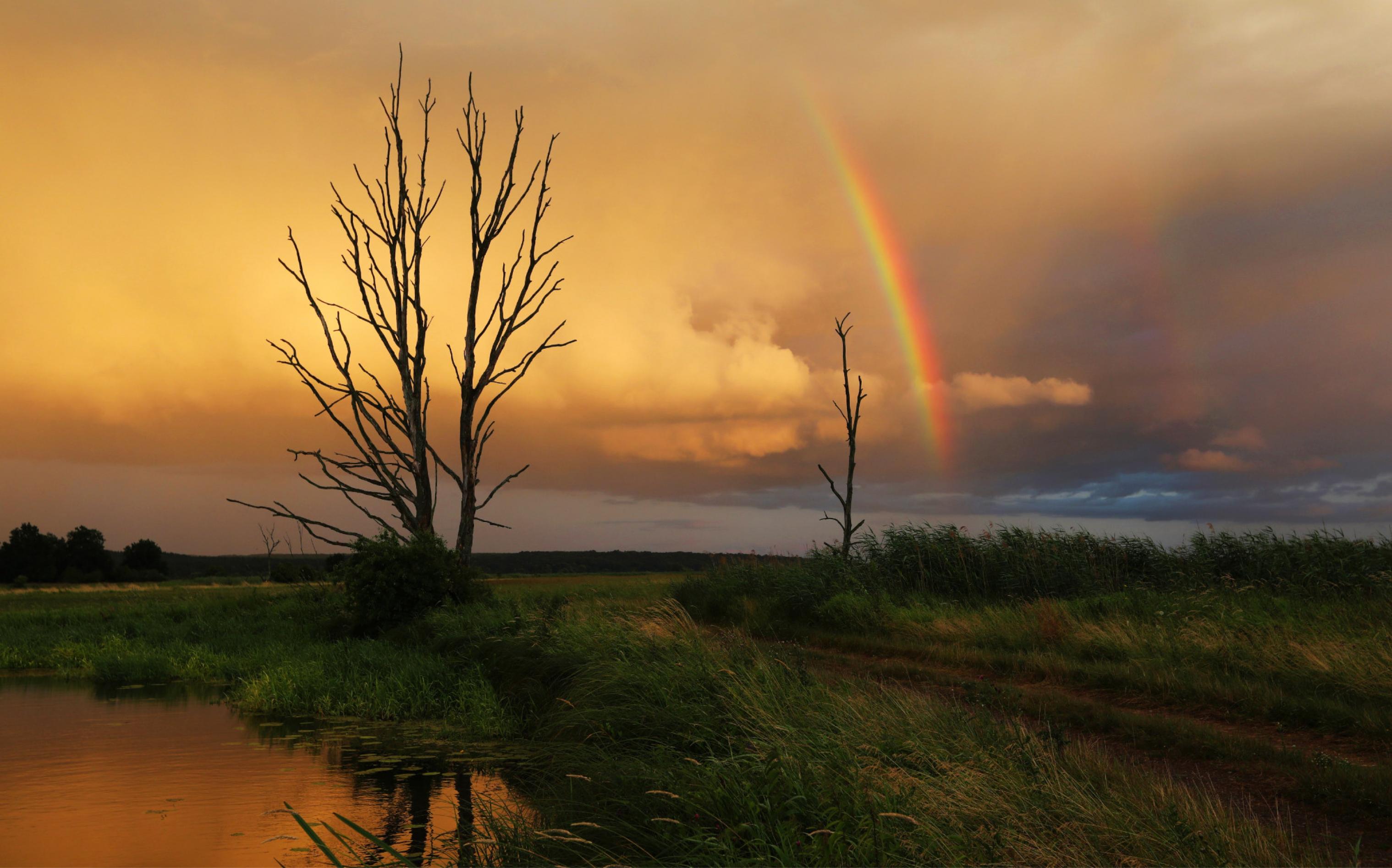 Oderaue bei Sonnenuntergang und mit Regenbogen