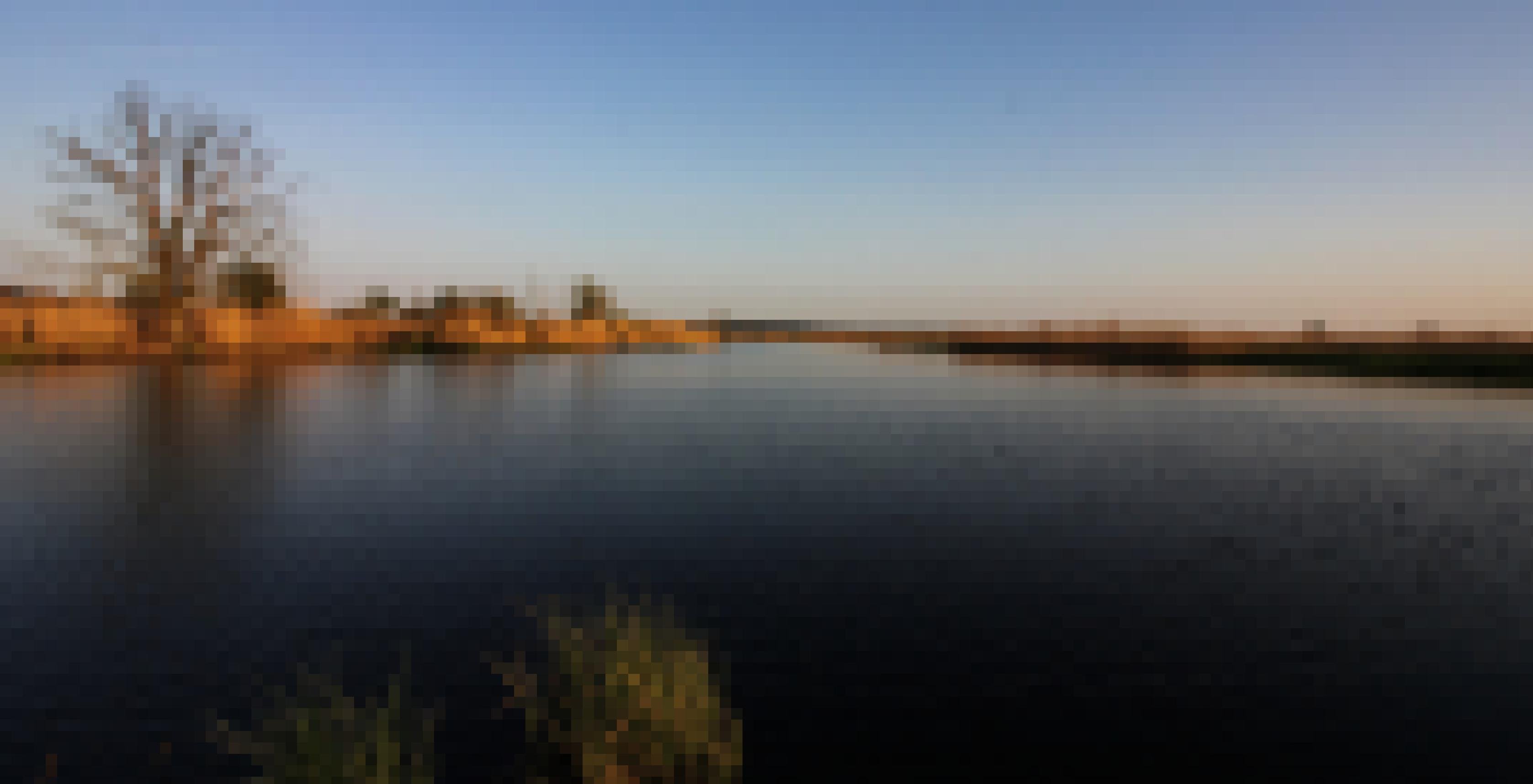 Blick auf den Oderstrom vom Boot aus