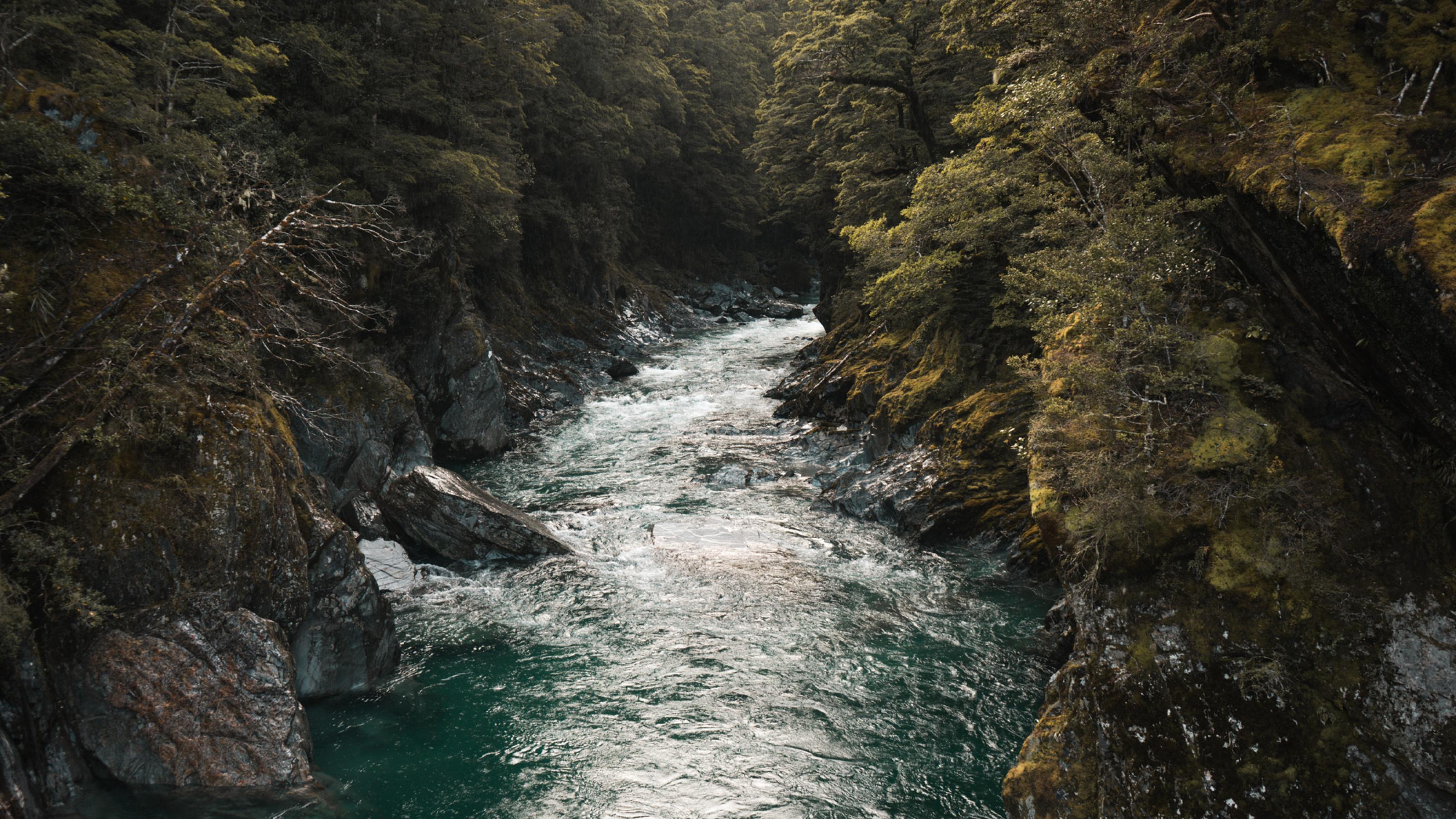Ein strömender Fluss mit felsigem Ufer in der Schlucht eines Waldes.