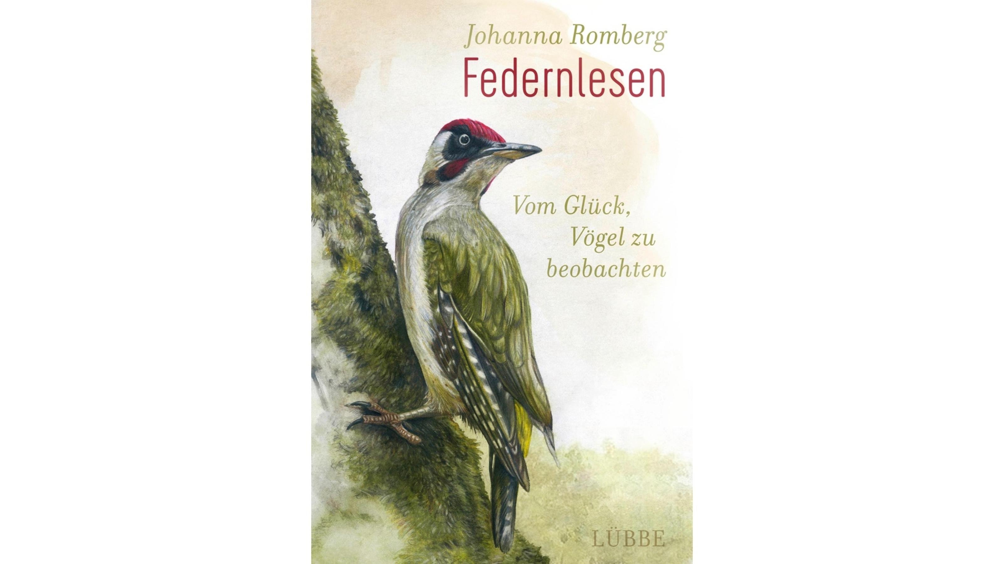 Cover des Buches „Federnlesen“ von Johanna Romberg