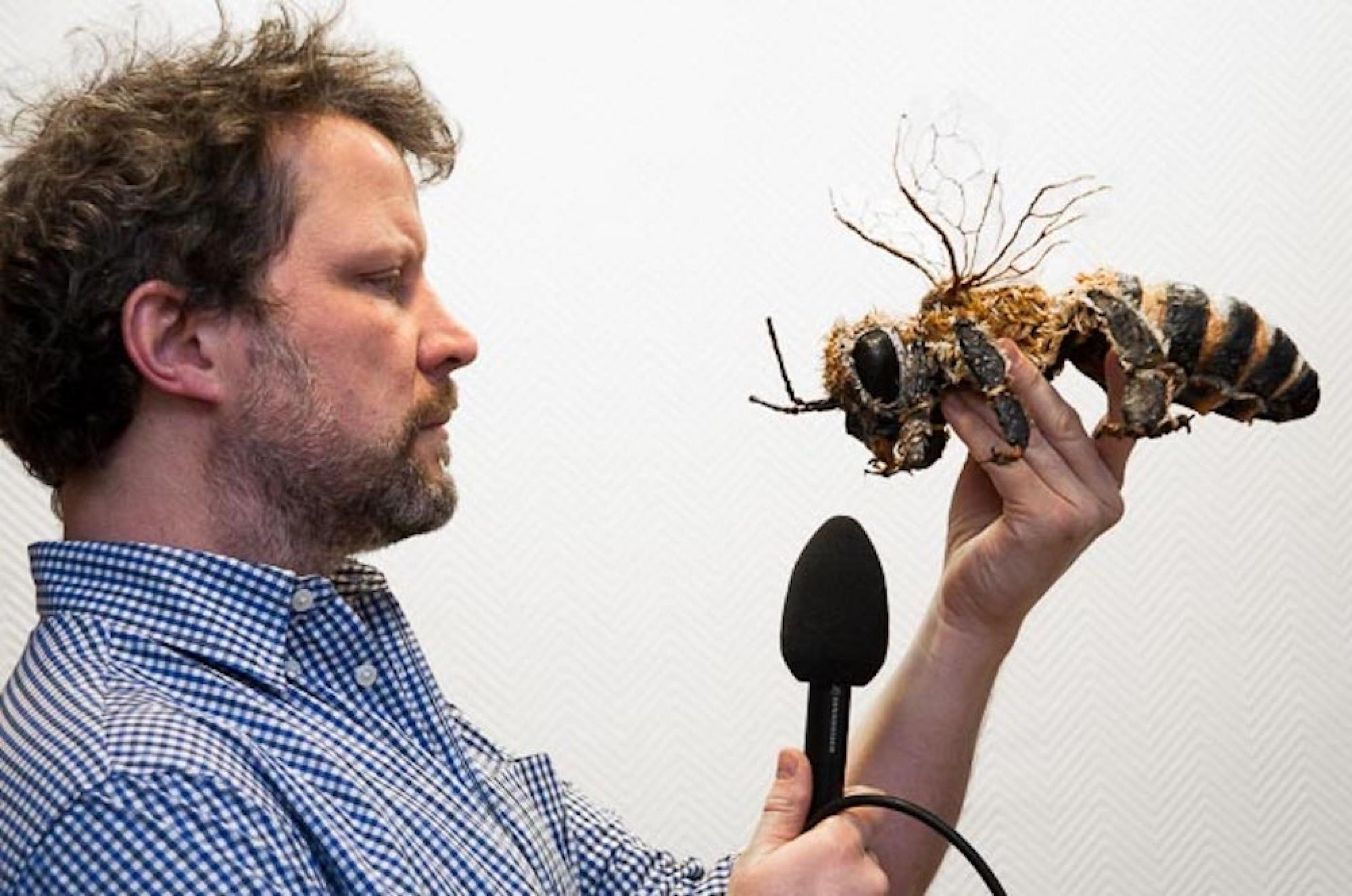 Der Journalist Joachim Budde. In einer Hand hält er eine übergroße Nachbildung einer Biene.