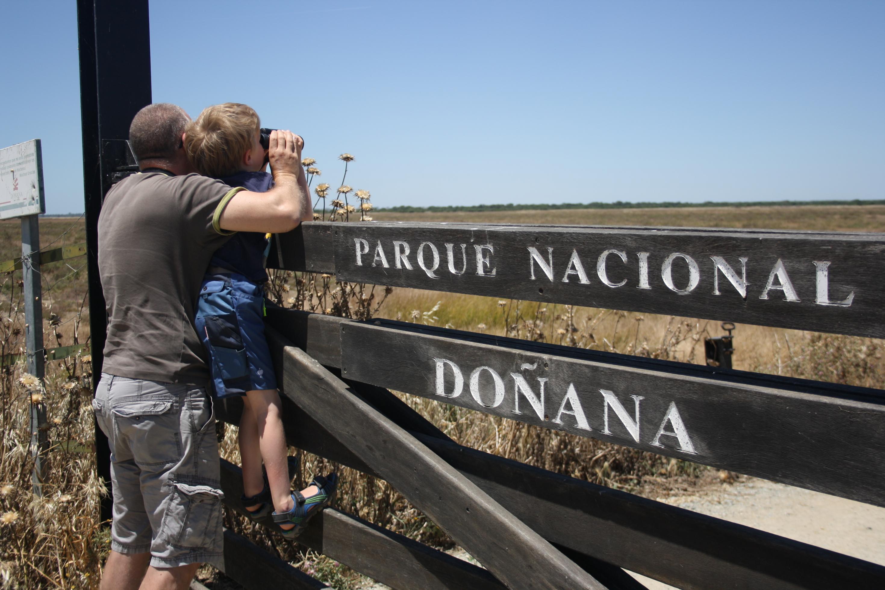 Ein Mann und ein Junge schauen mit dem Fernglas über einen Holzzaun, auf dem Parque Nacional Doñana steht.