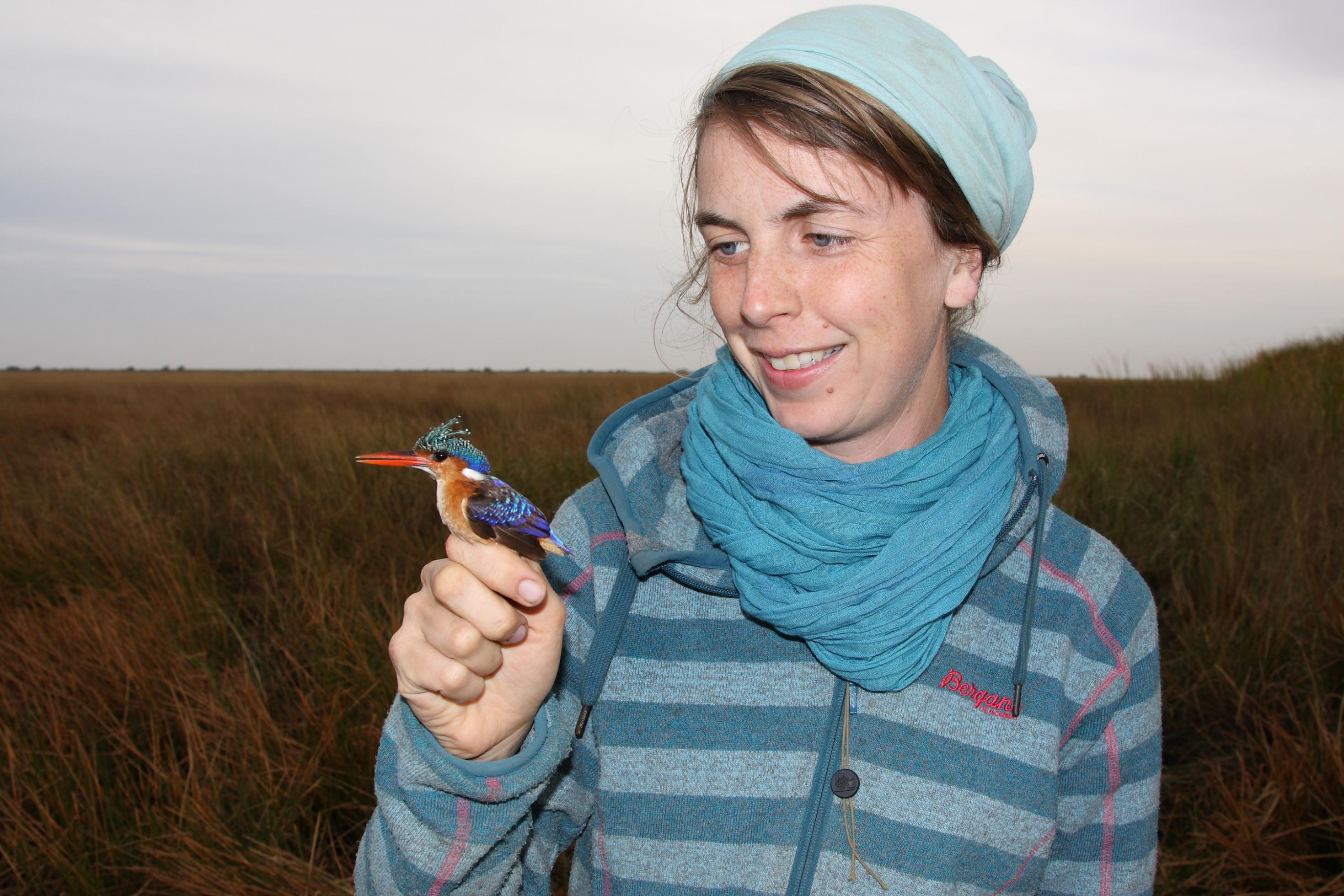 Nina Seifert hat einen Malachit-Eisvogel in der Hand.