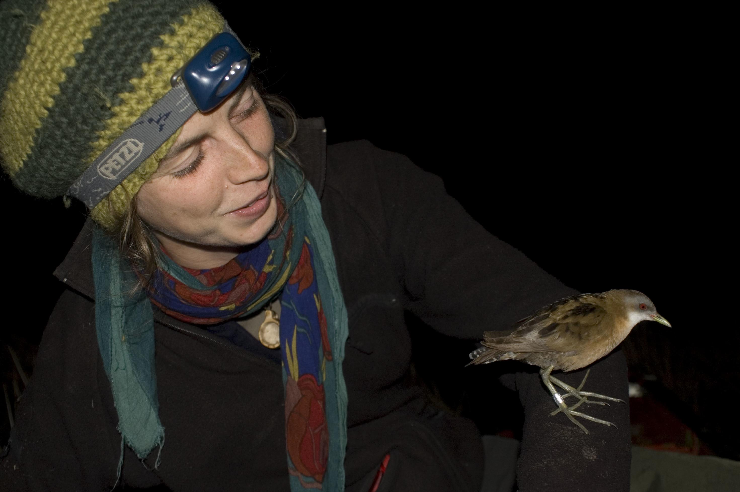 Nina Seifert hat ein kleines Sumpfhuhn auf dem Arm sitzen. Es ist nachts.