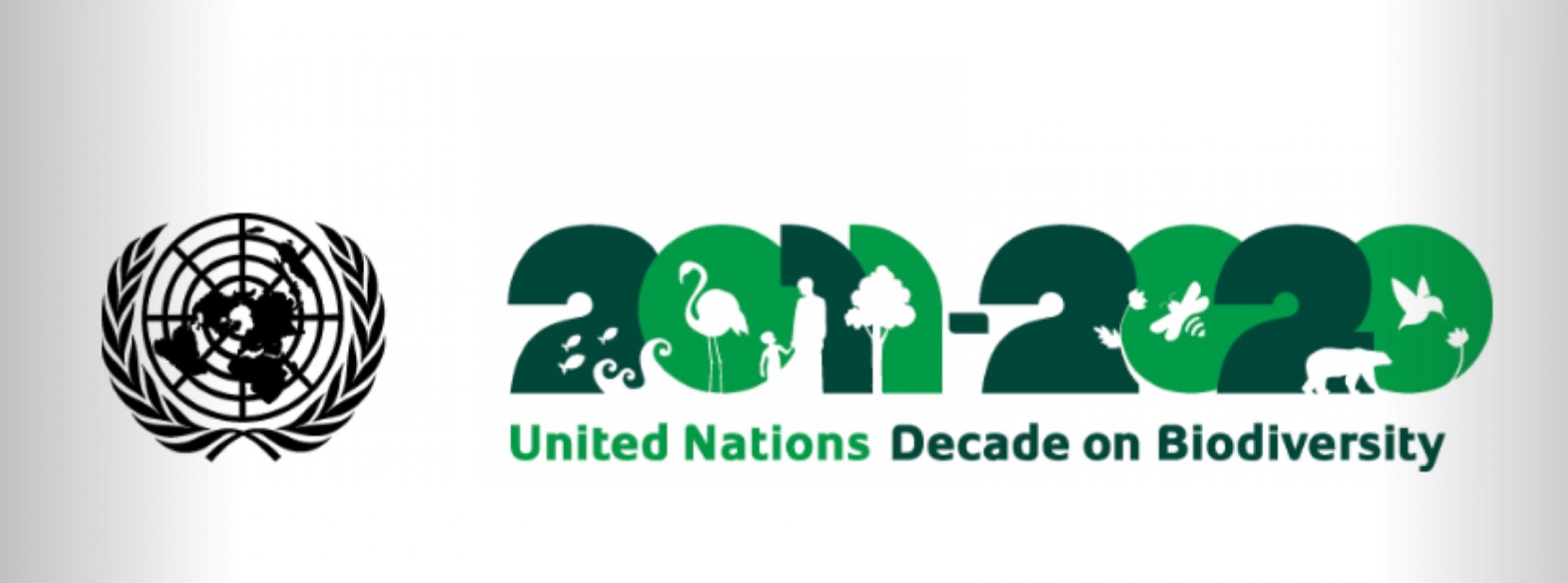 Logo der Dekade für Biodiversität 2011–2020 der Vereinten Nationen.