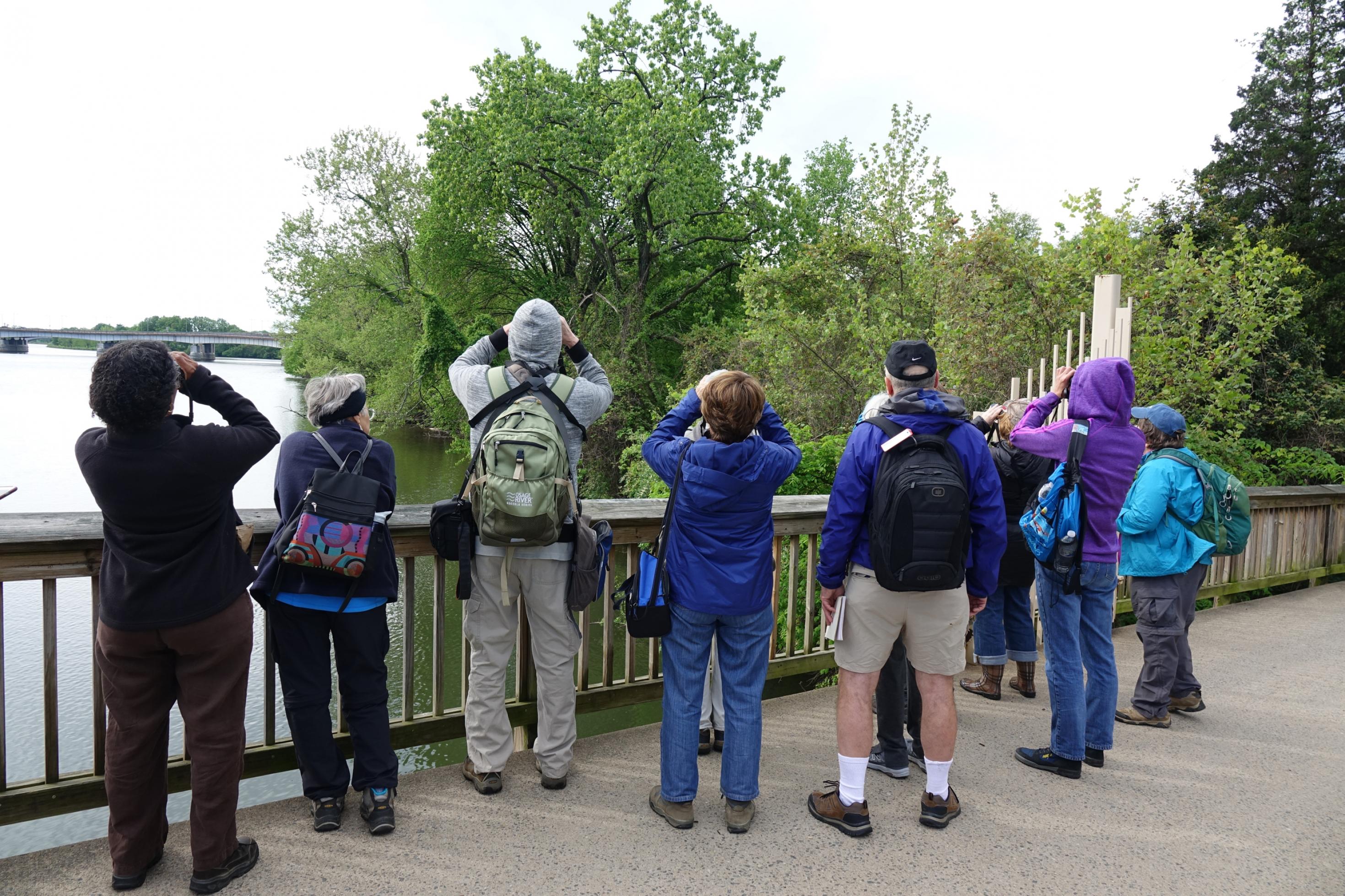 Eine Gruppe Menschen mit Ferngläsern in der Hand, von hinten fotografiert.