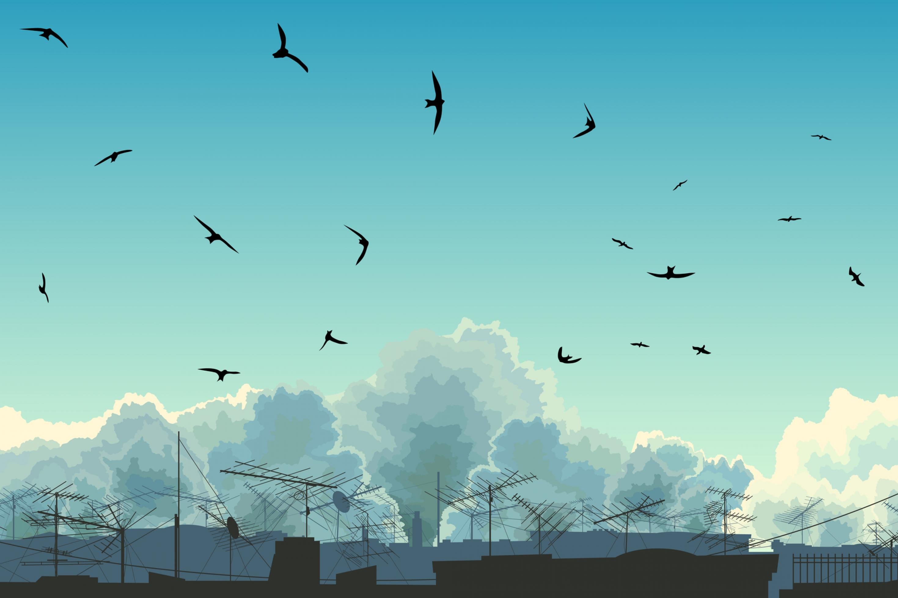 Illustration eines Himmel an dem Vögel fliegen. Am unteren Bildrand sieht man die Antennen von Häuserdächern.
