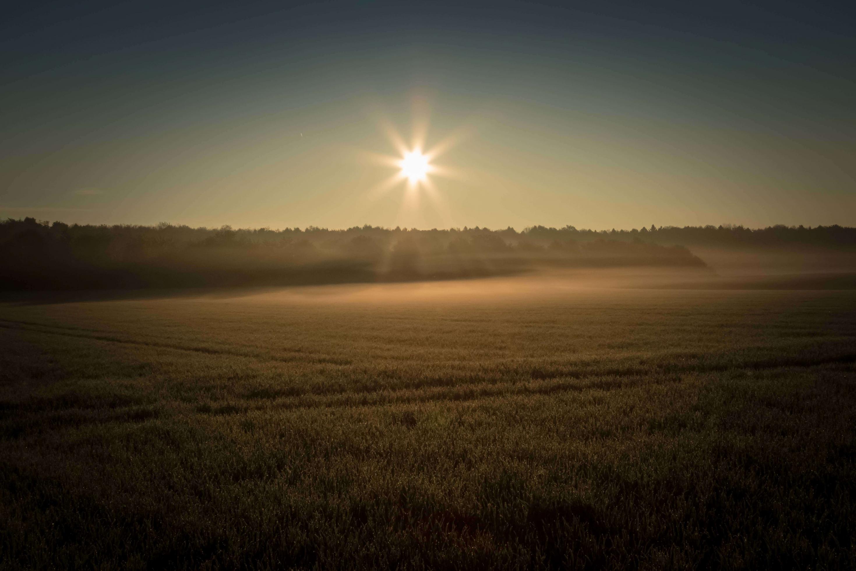 Sonnenaufgang über einem Feld.