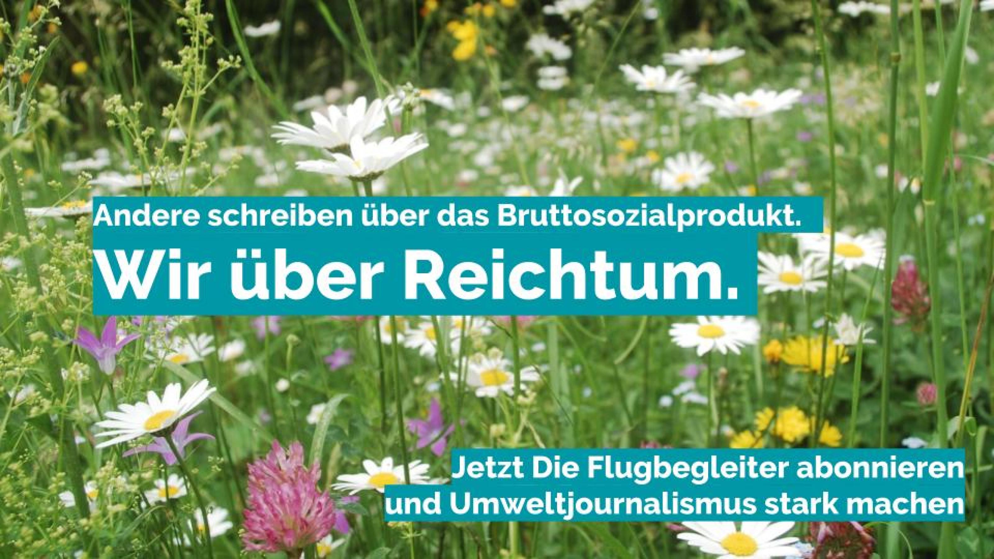 Flugbegleiter-Werbung: Wir schreiben über den Reichtum der Natur.